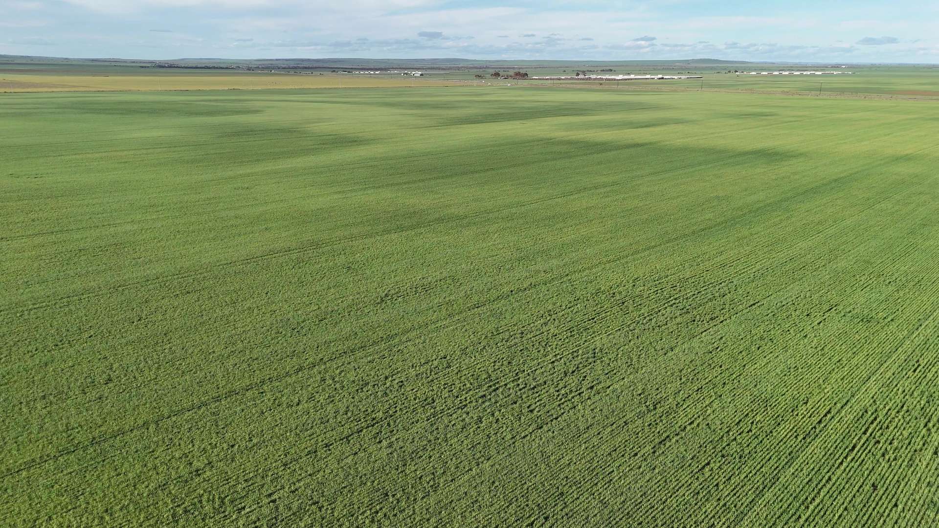 251 Augusta Hwy, Port Wakefield For Sale by Farmbuy.com - image 14