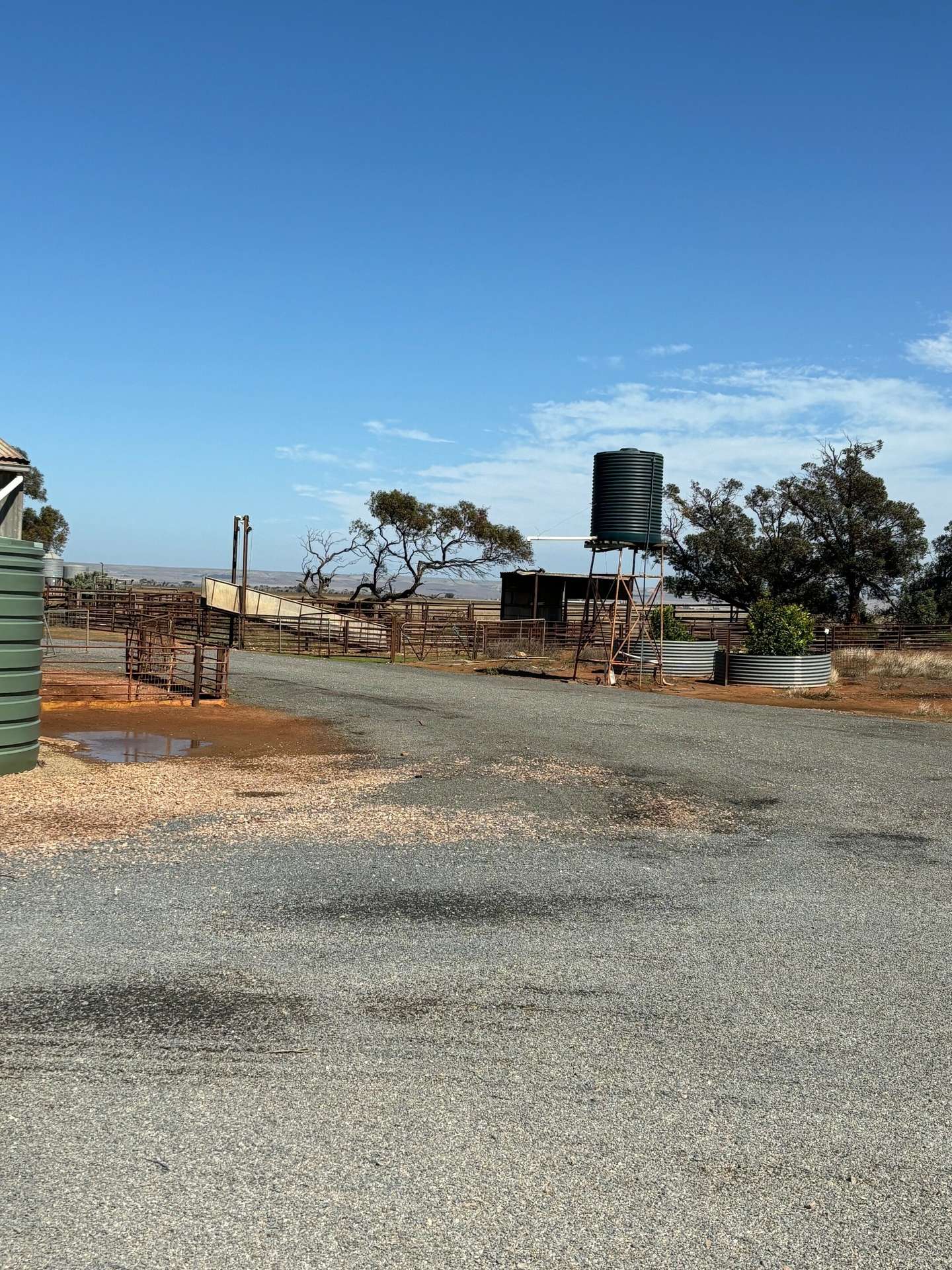 251 Augusta Hwy, Port Wakefield For Sale by Farmbuy.com - image 26