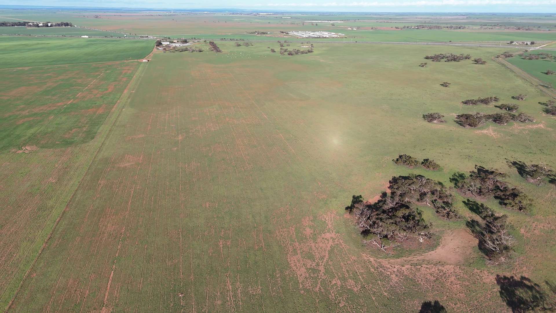 251 Augusta Hwy, Port Wakefield For Sale by Farmbuy.com - image 22