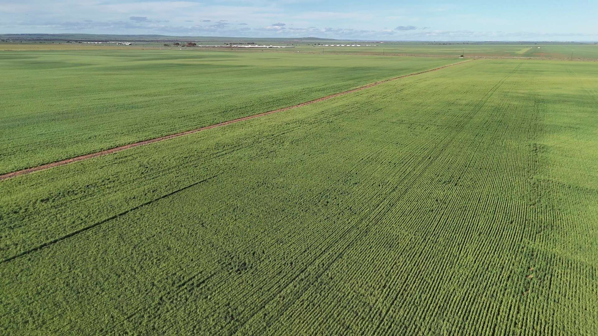 251 Augusta Hwy, Port Wakefield For Sale by Farmbuy.com - image 13
