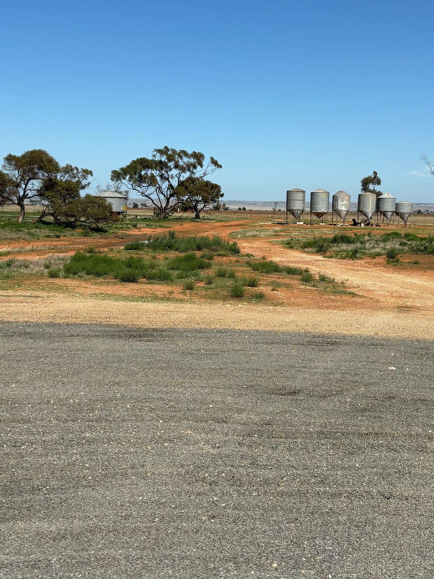 251 Augusta Hwy, Port Wakefield For Sale by Farmbuy.com - image 28