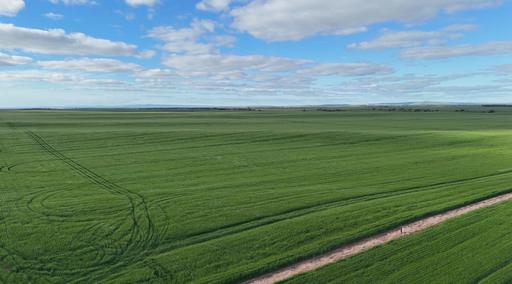 Farm For Sale - SA - Port Broughton - 5522 - PRIME CROPPING COUNTRY 