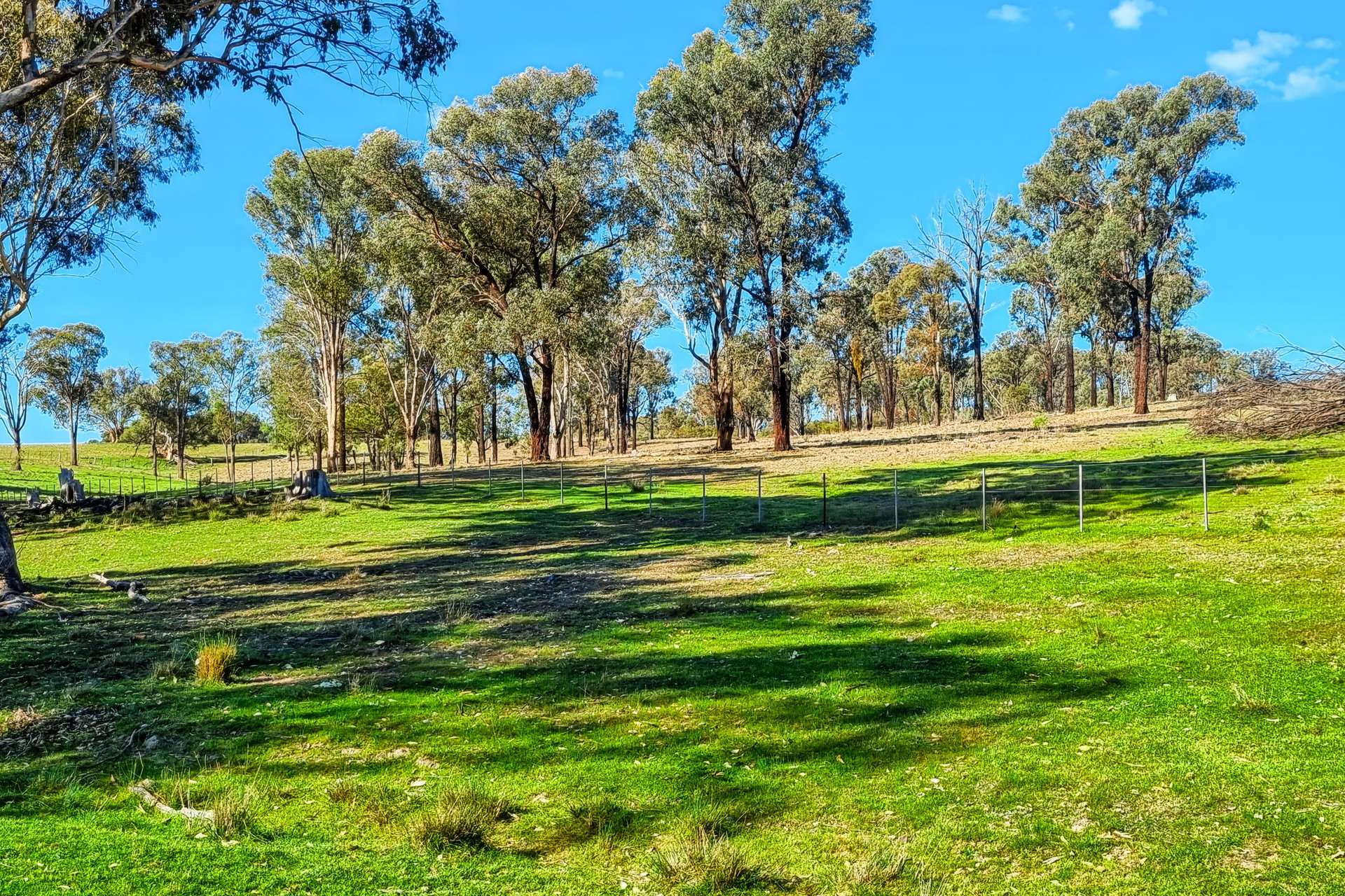 Messines, 1210 MacIntyre Road, Barraba For Sale by Farmbuy.com - image 17