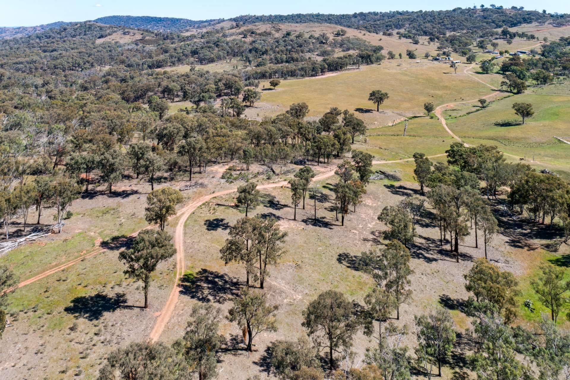 Messines, 1210 MacIntyre Road, Barraba For Sale by Farmbuy.com - image 26