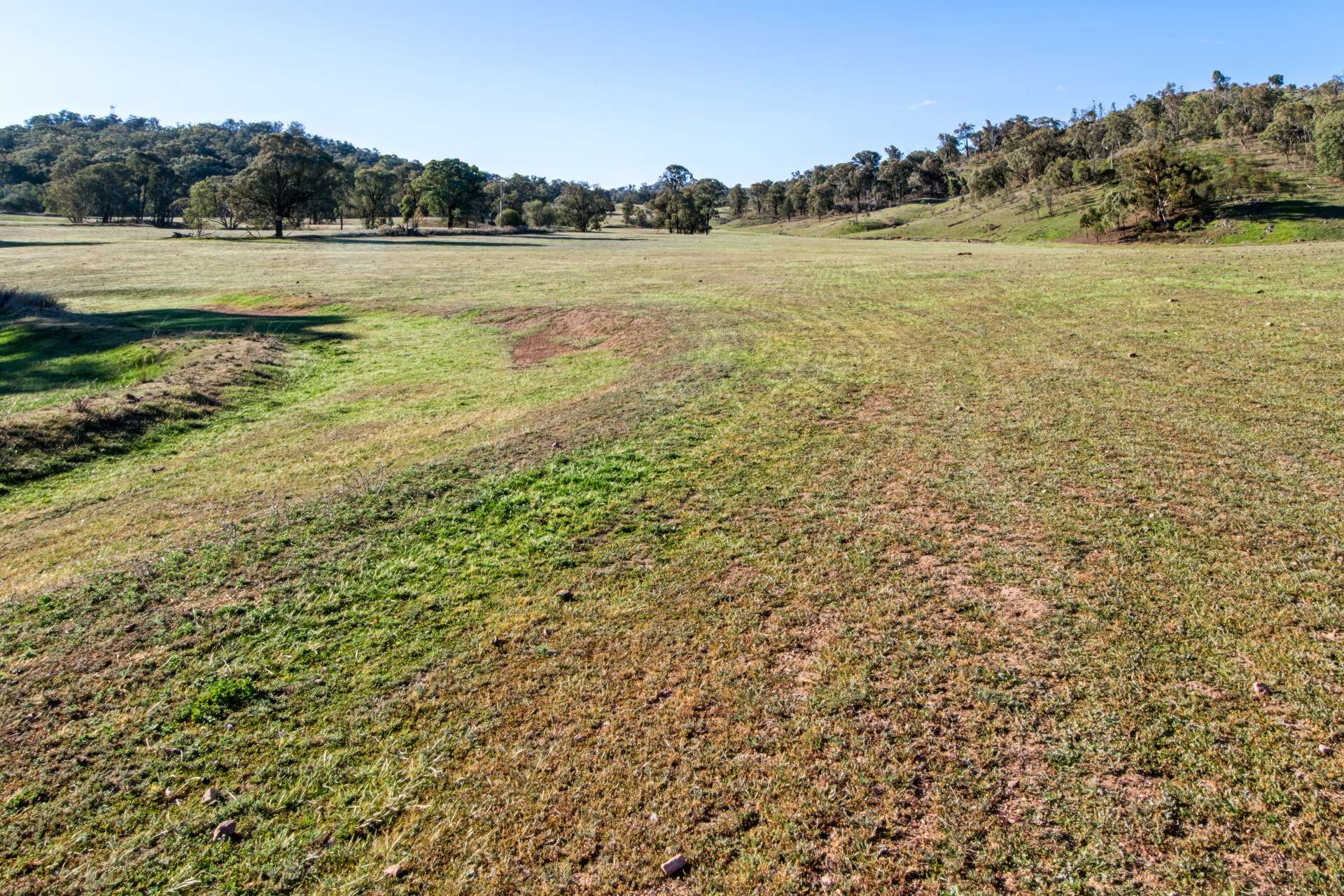 Messines, 1210 MacIntyre Road, Barraba For Sale by Farmbuy.com - image 24