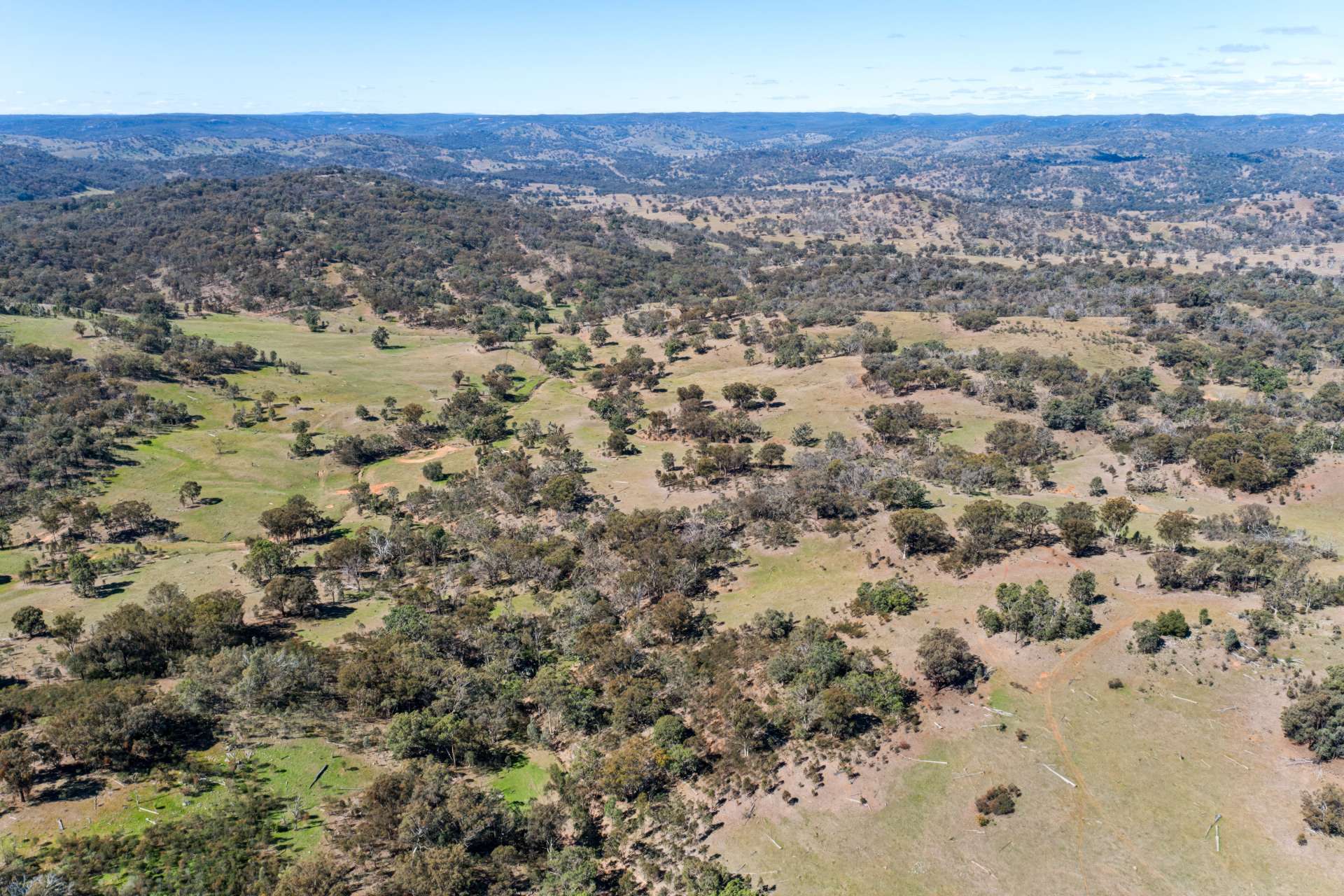 Messines, 1210 MacIntyre Road, Barraba For Sale by Farmbuy.com - image 24