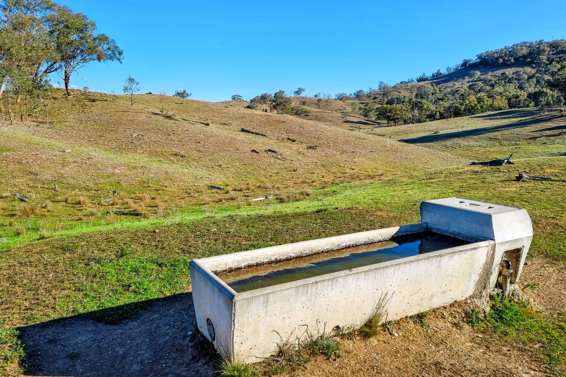 Messines, 1210 MacIntyre Road, Barraba For Sale by Farmbuy.com - image 15
