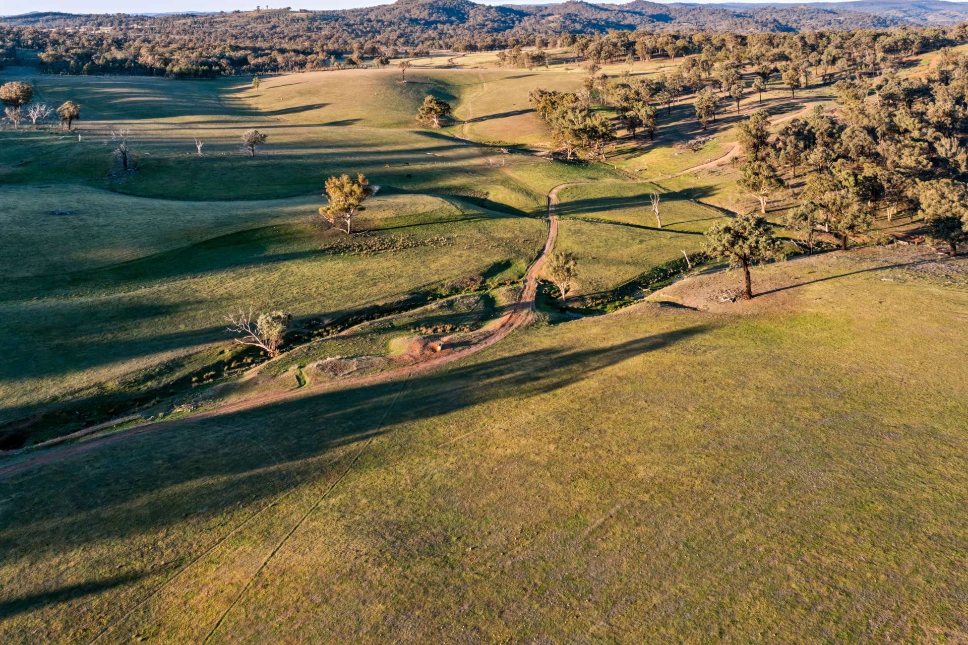 Messines, 1210 MacIntyre Road, Barraba For Sale by Farmbuy.com - image 18
