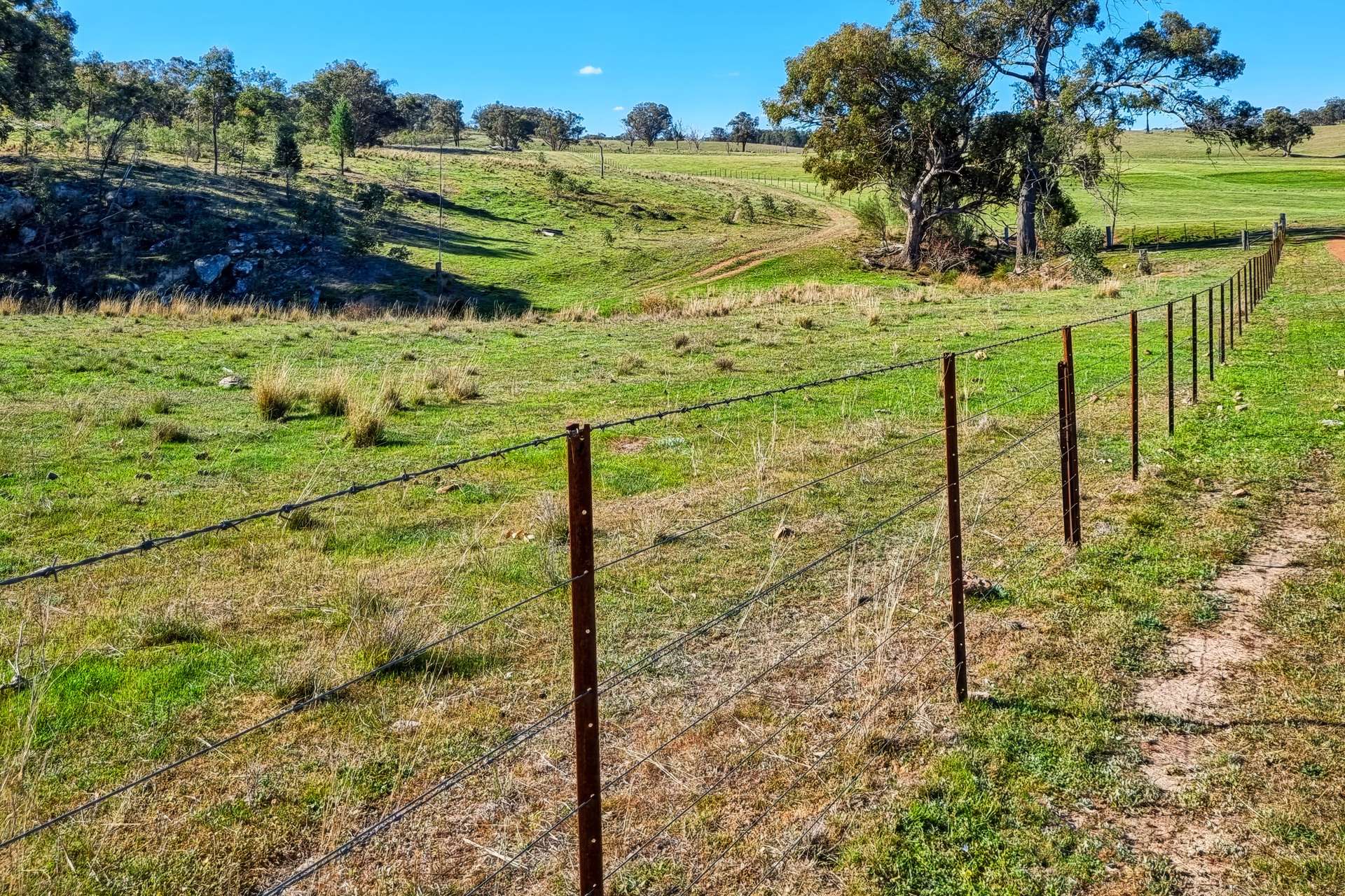 Messines, 1210 MacIntyre Road, Barraba For Sale by Farmbuy.com - image 14