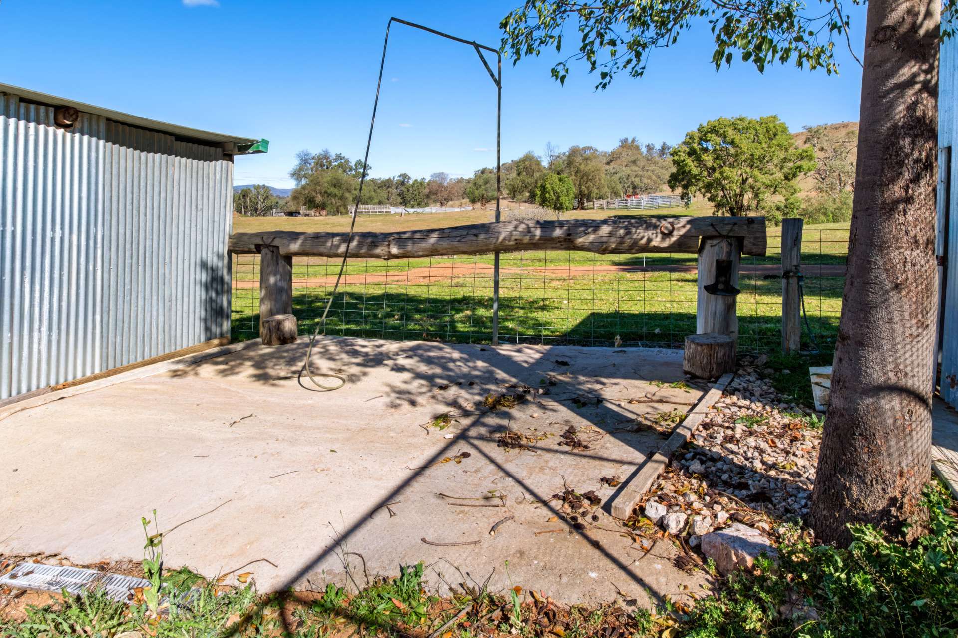 Messines, 1210 MacIntyre Road, Barraba For Sale by Farmbuy.com - image 21