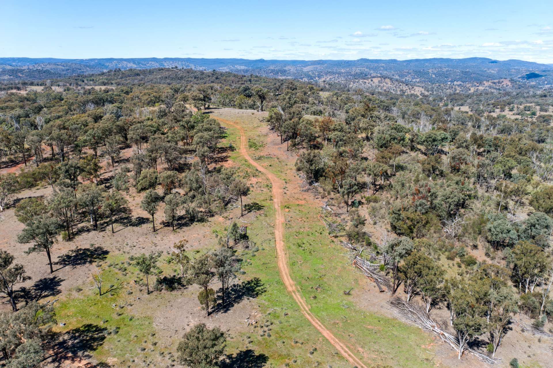 Messines, 1210 MacIntyre Road, Barraba For Sale by Farmbuy.com - image 27