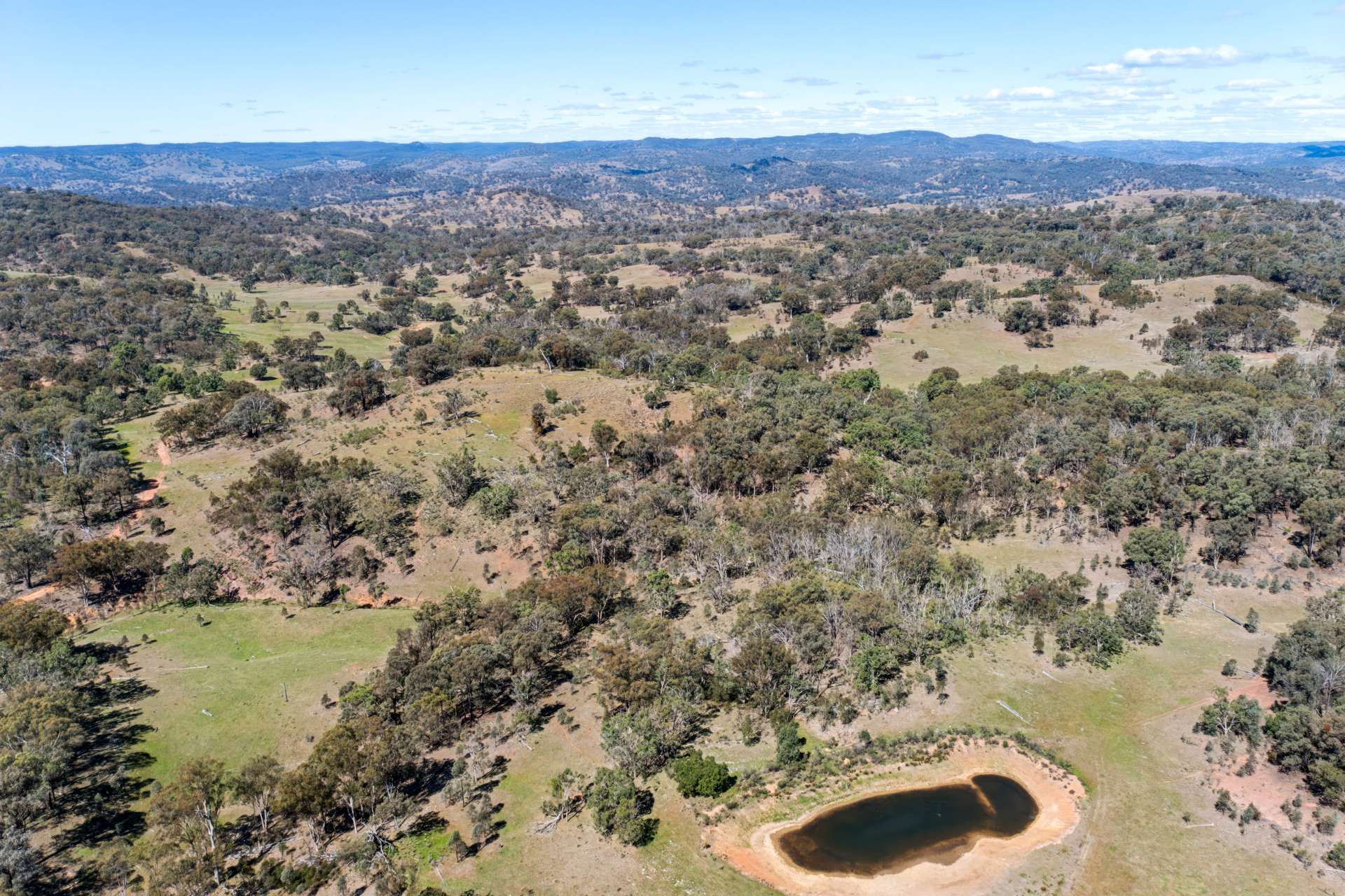 Messines, 1210 MacIntyre Road, Barraba For Sale by Farmbuy.com - image 23