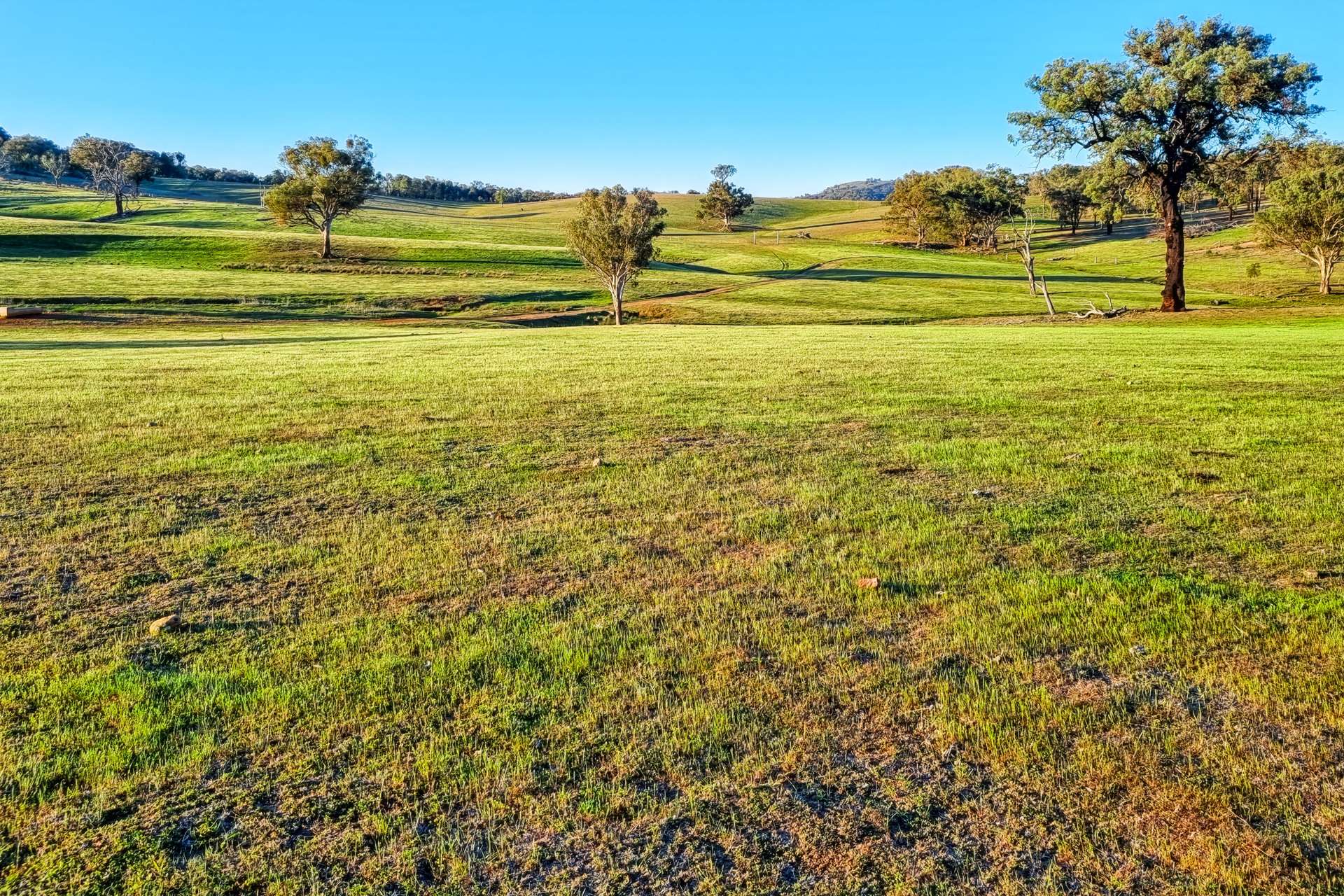 Messines, 1210 MacIntyre Road, Barraba For Sale by Farmbuy.com - image 2