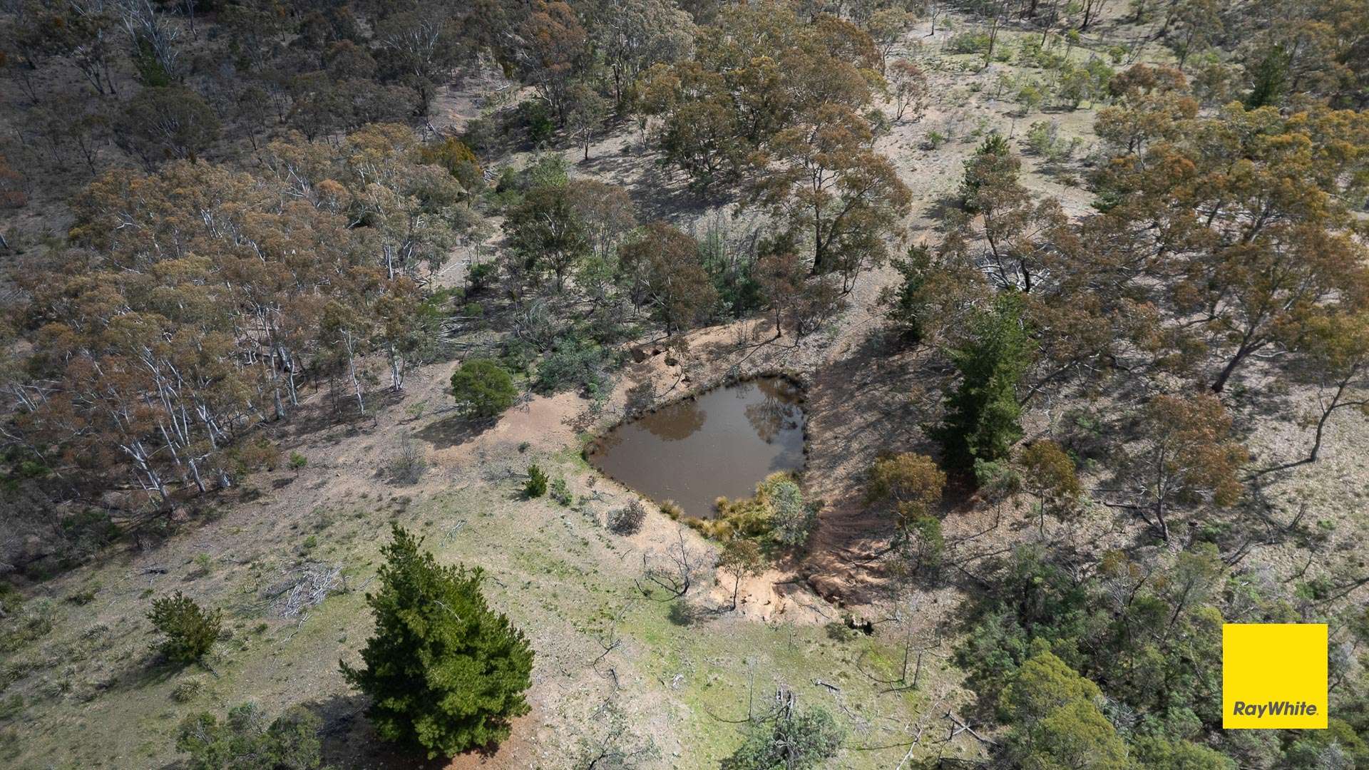 305 Shingle Hill Way, Gundaroo For Sale by Farmbuy.com - image 32