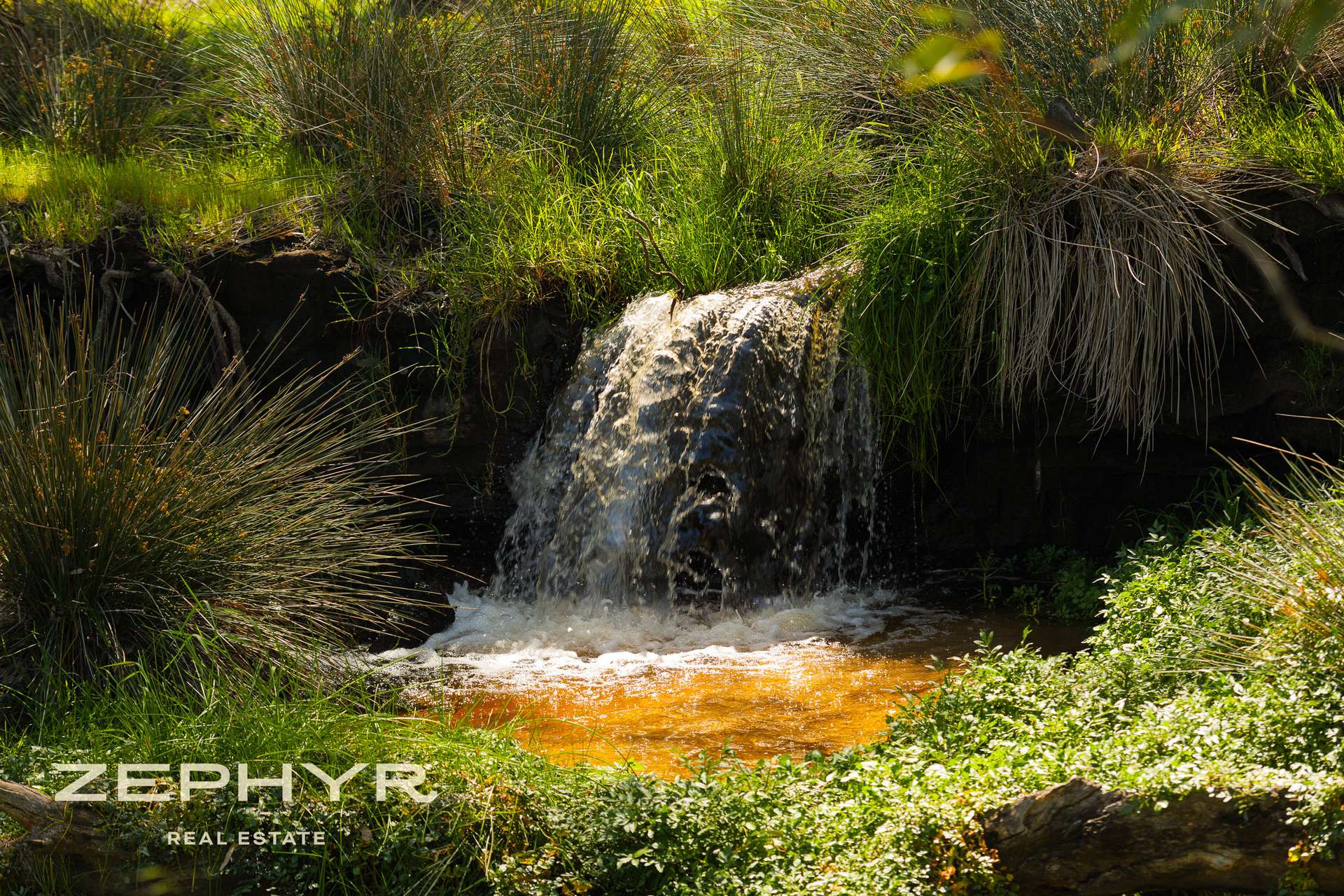 Dandaragan Road, Dandaragan For Sale by Farmbuy.com - image 6