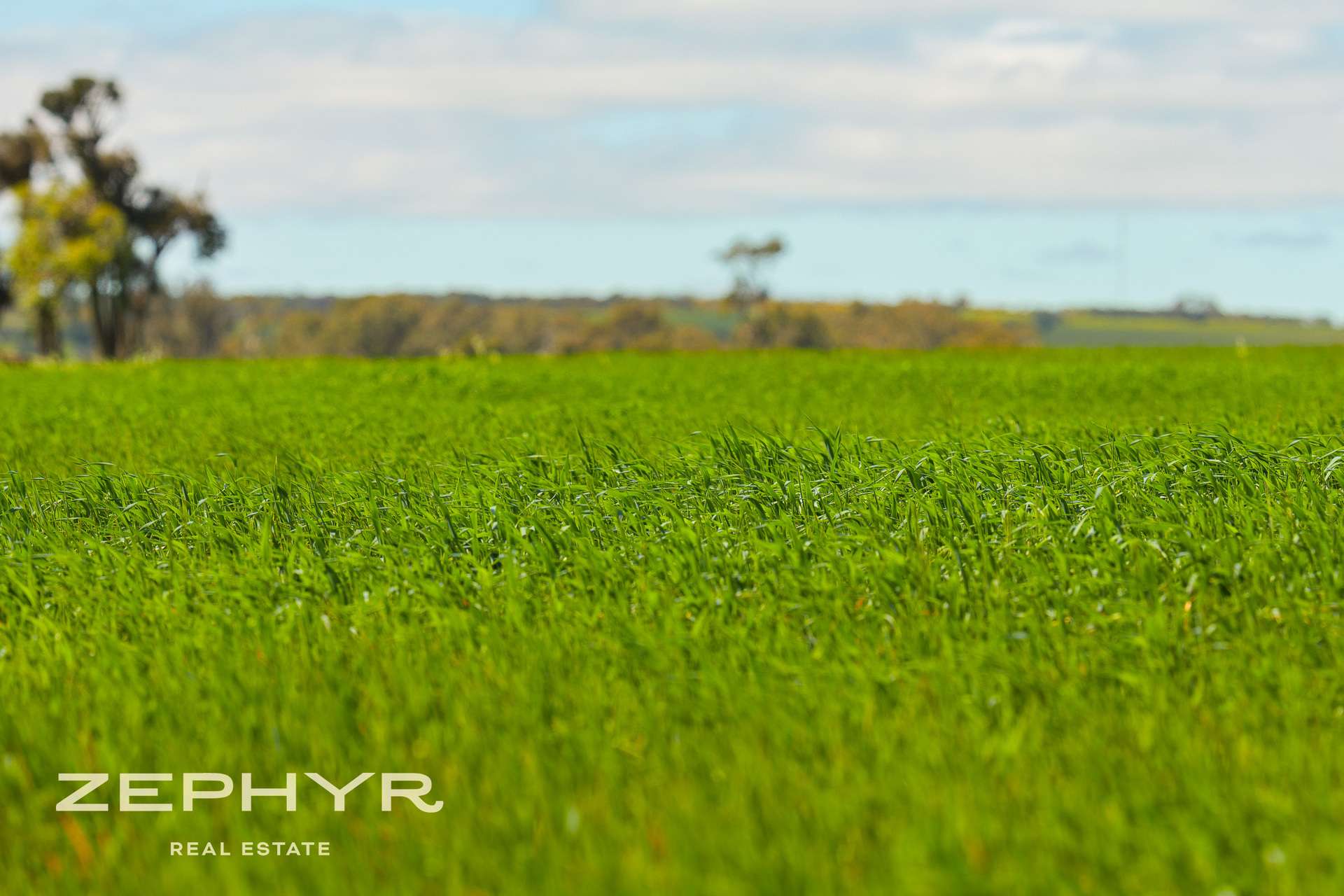 Dandaragan Road, Dandaragan For Sale by Farmbuy.com - image 27