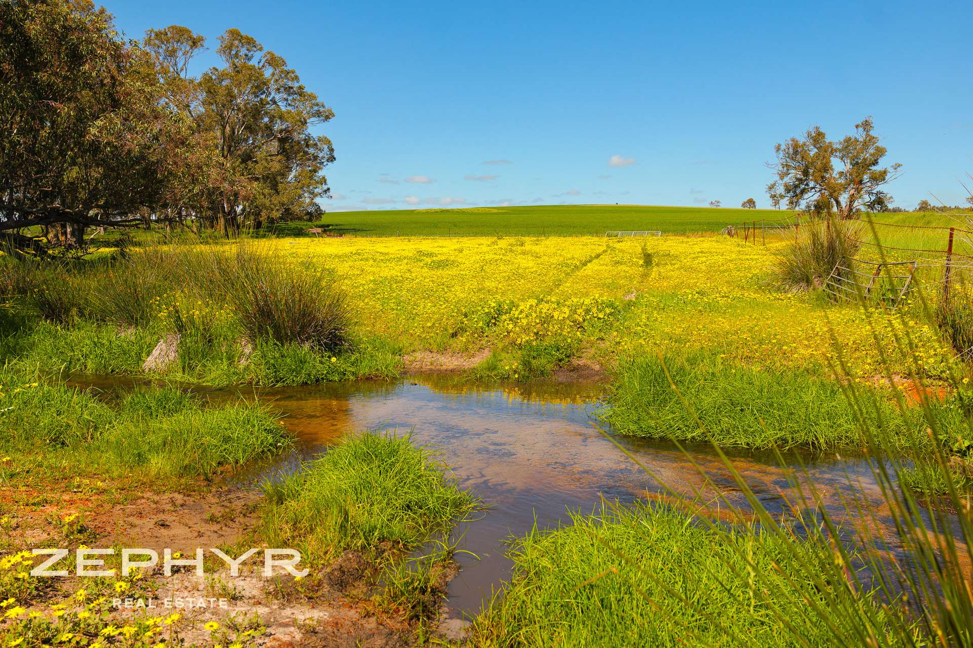 Dandaragan Road, Dandaragan For Sale by Farmbuy.com - image 15