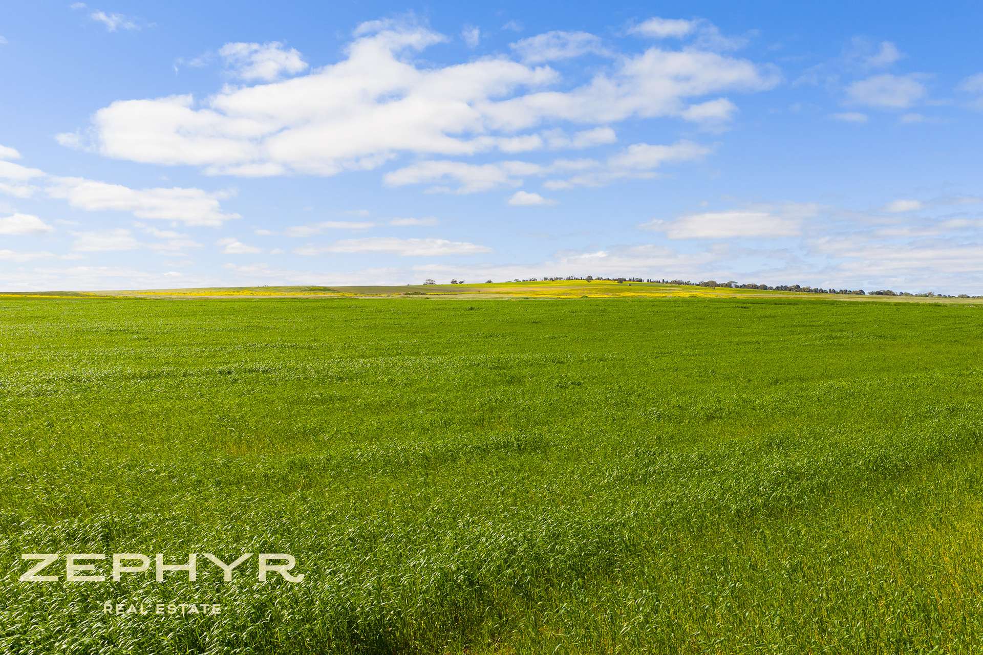 Dandaragan Road, Dandaragan For Sale by Farmbuy.com - image 23