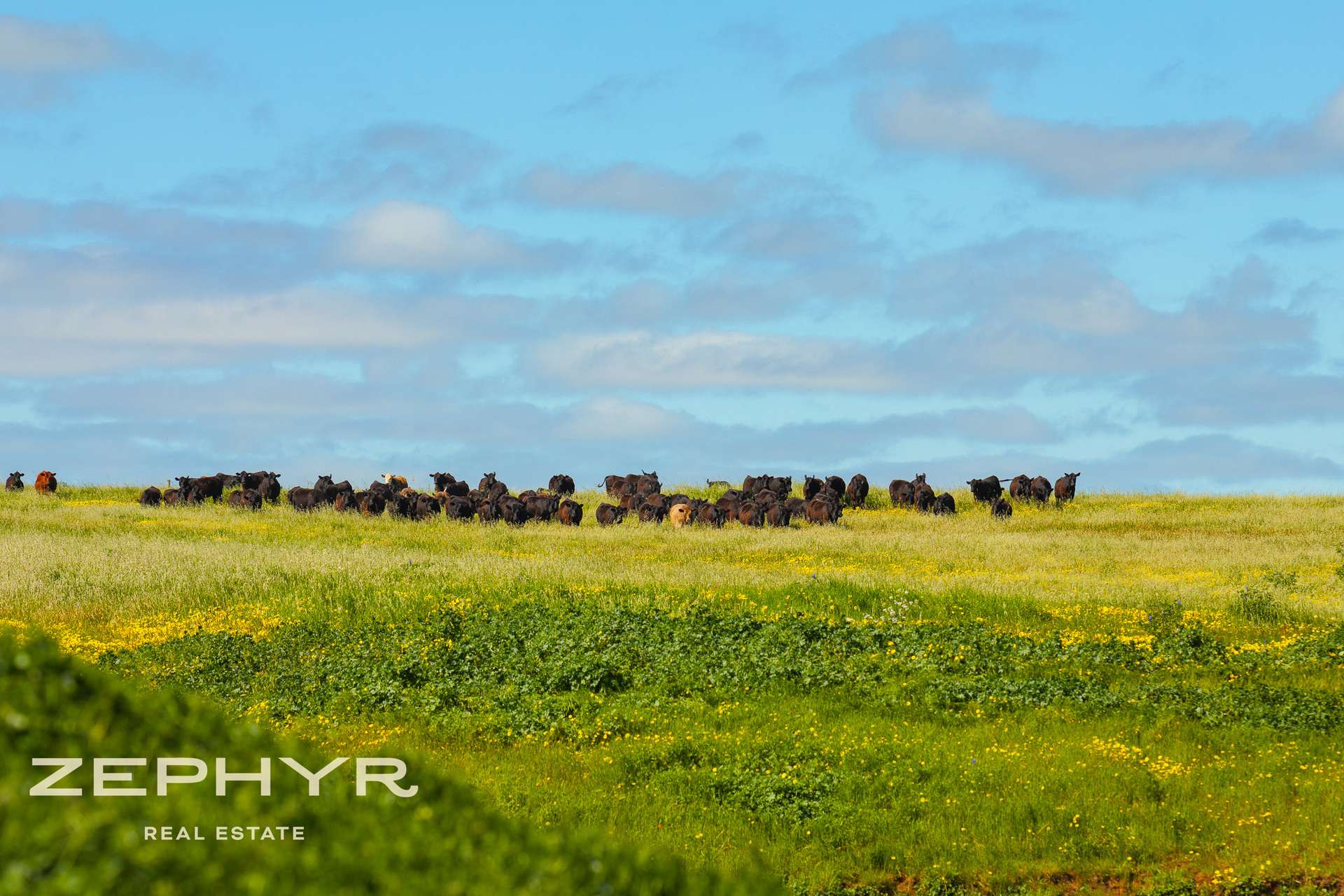 Dandaragan Road, Dandaragan For Sale by Farmbuy.com - image 28