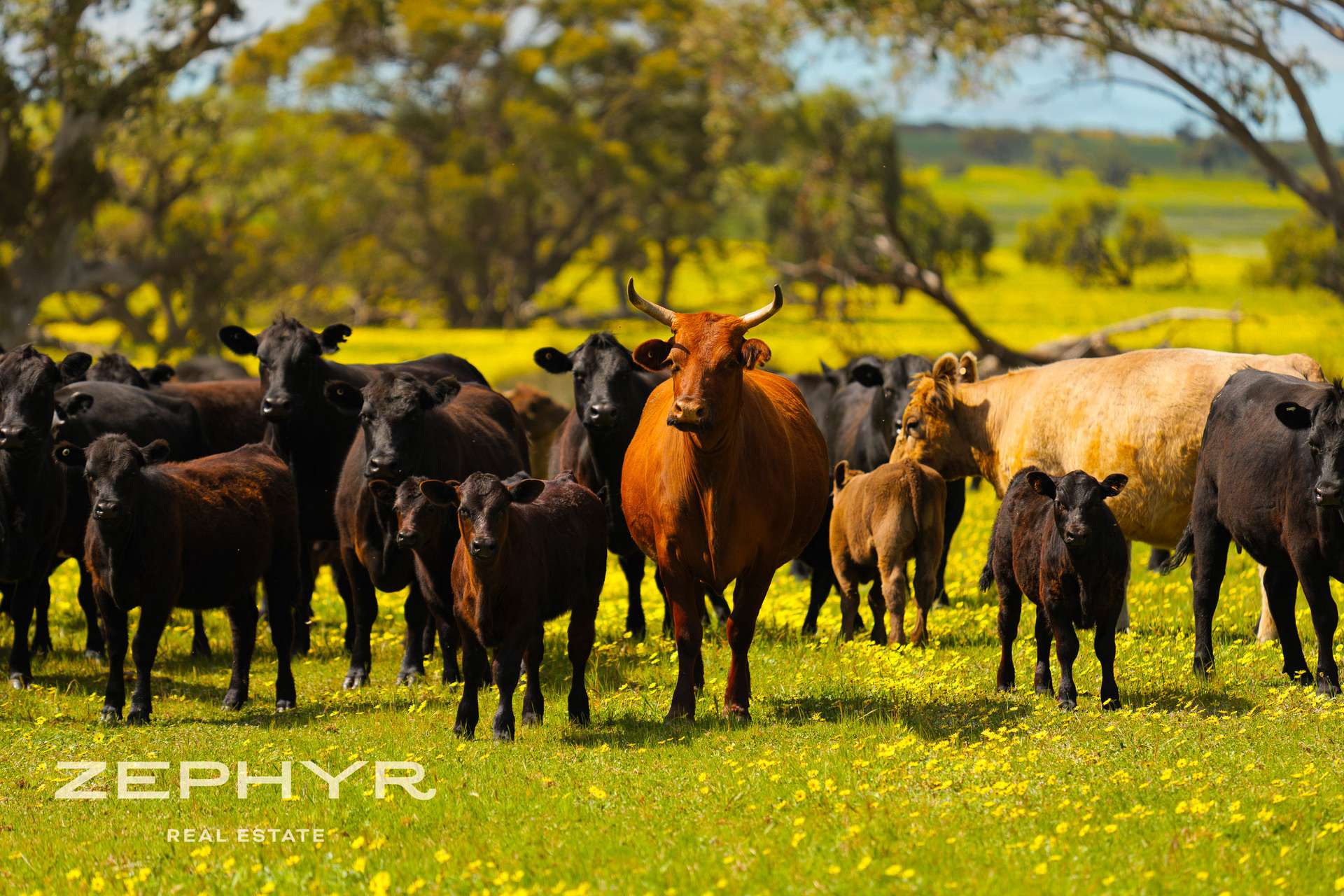 Dandaragan Road, Dandaragan For Sale by Farmbuy.com - image 26