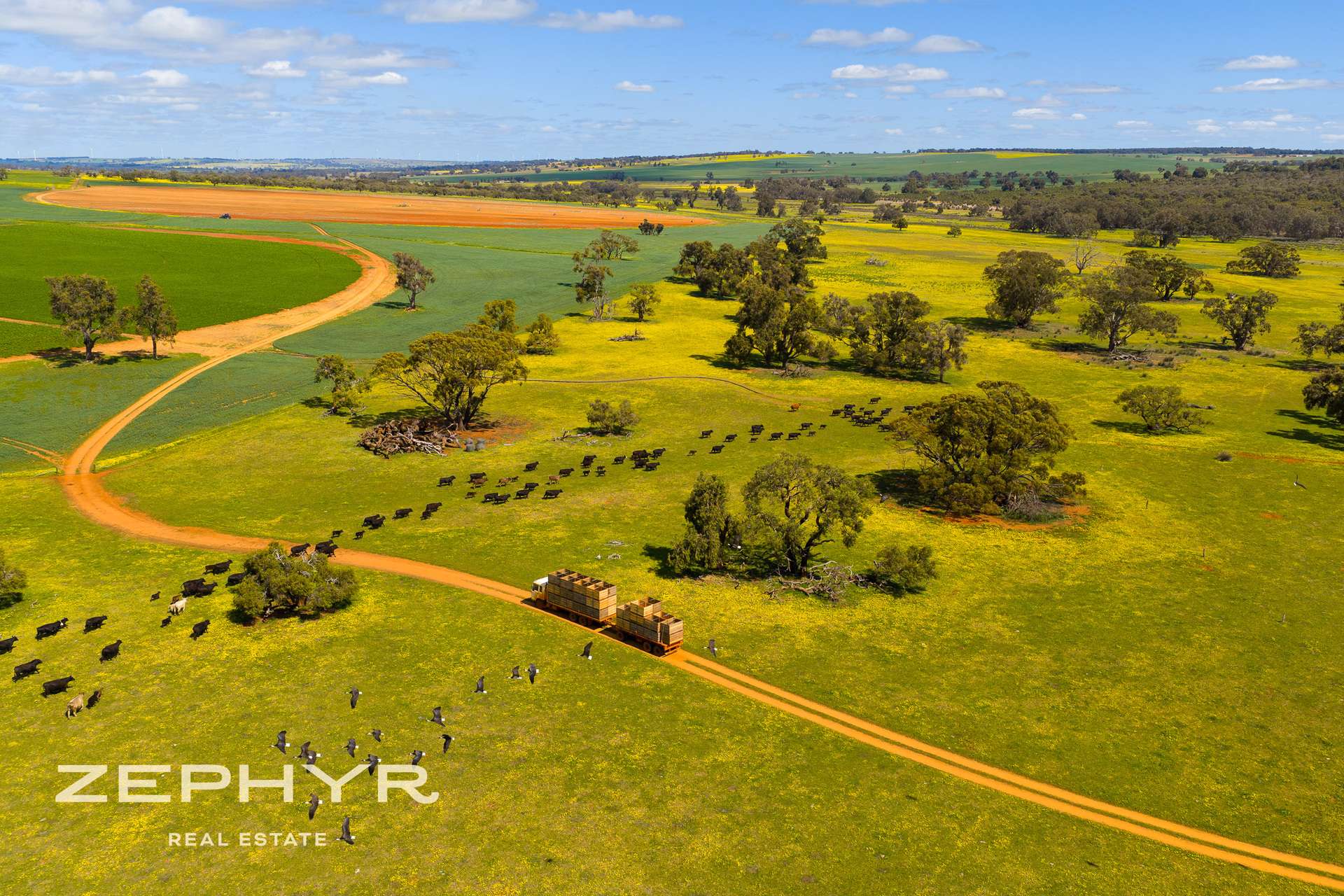 Dandaragan Road, Dandaragan For Sale by Farmbuy.com - image 11