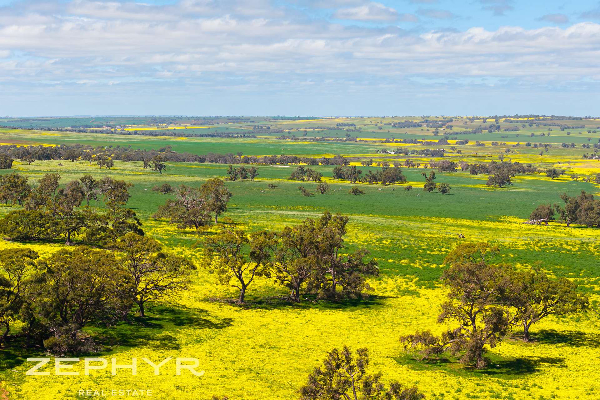Dandaragan Road, Dandaragan For Sale by Farmbuy.com - image 18
