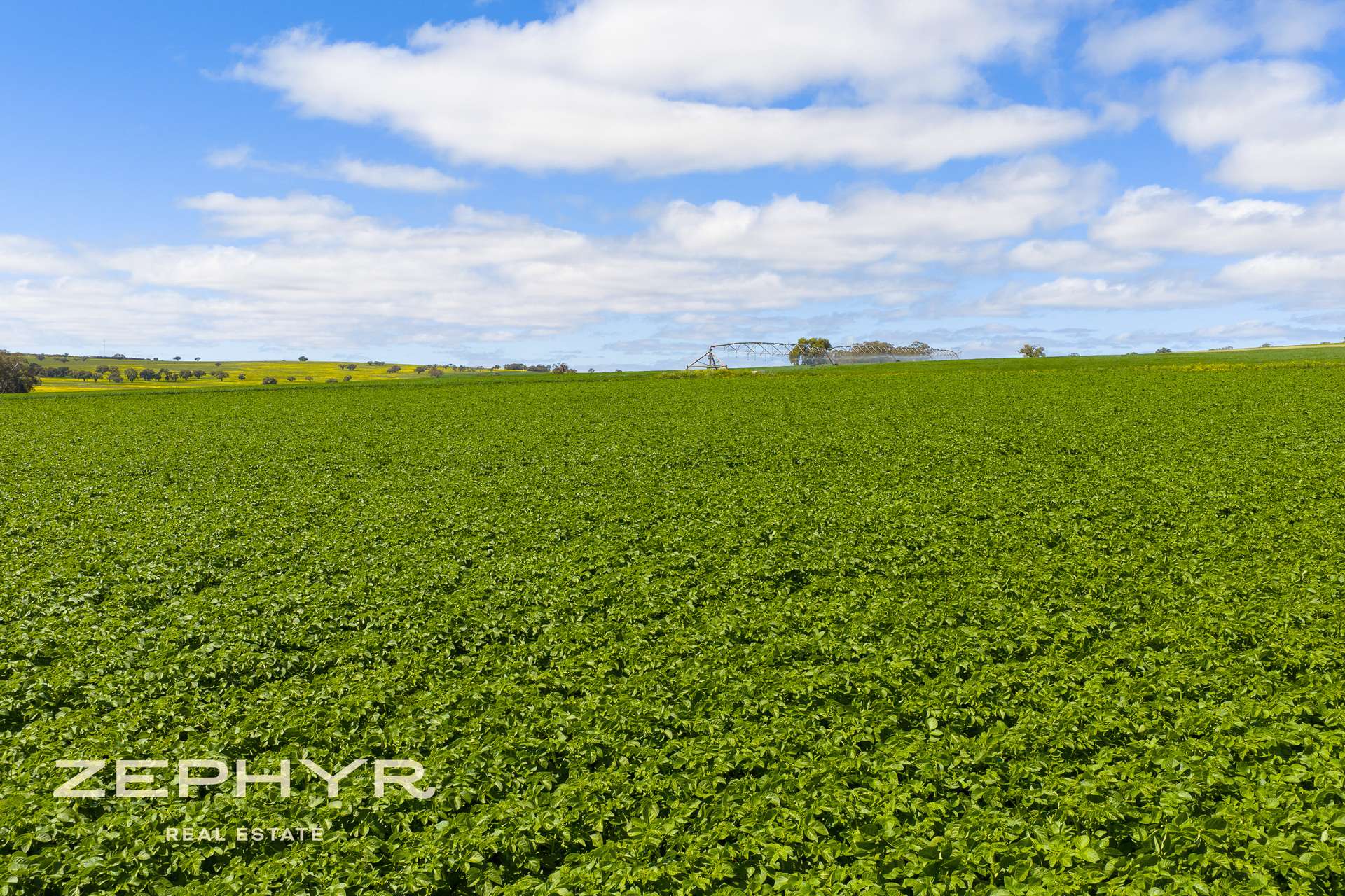 Dandaragan Road, Dandaragan For Sale by Farmbuy.com - image 16