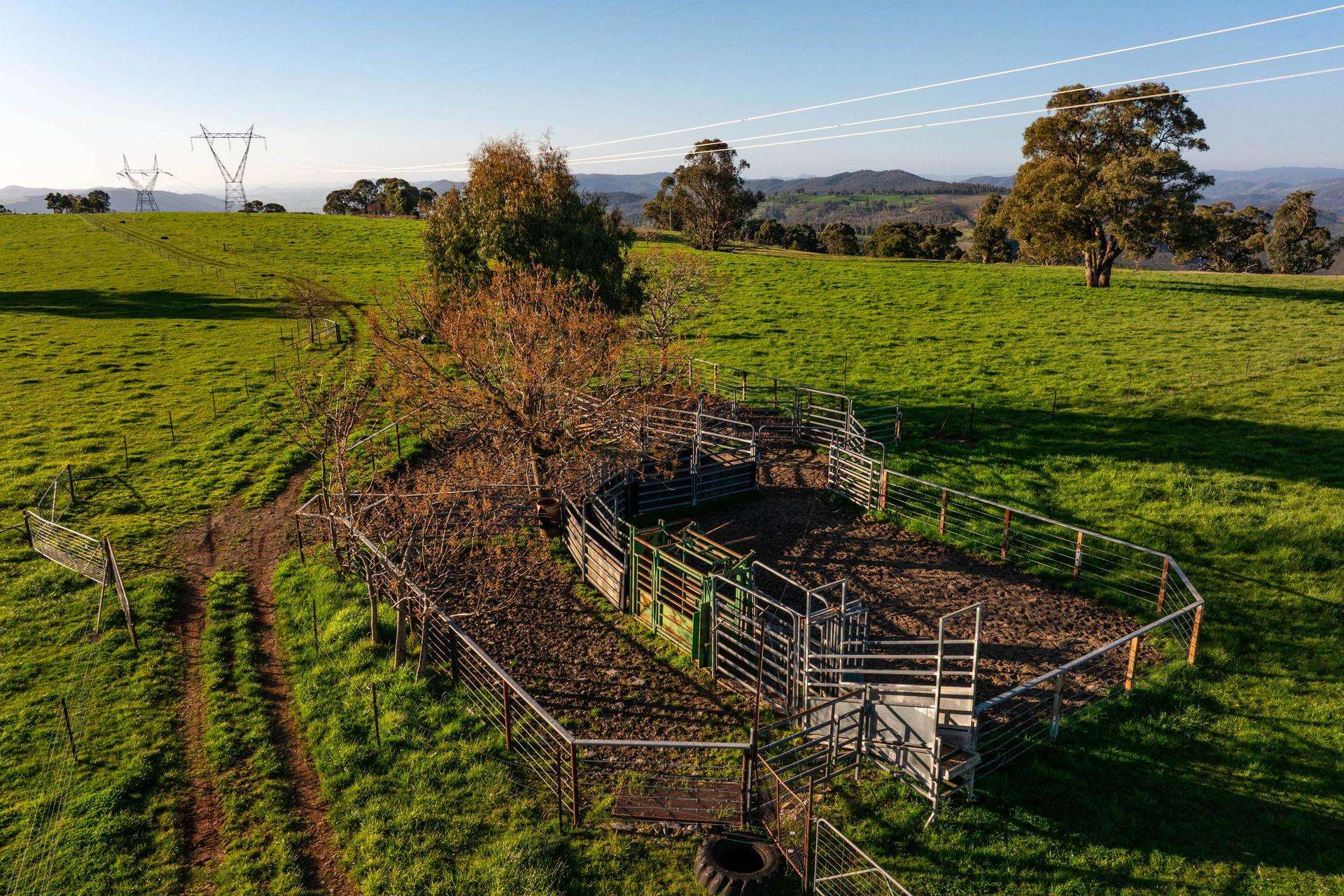 1433 East Gilmore Road, Tumut Auction by Farmbuy.com - image 19