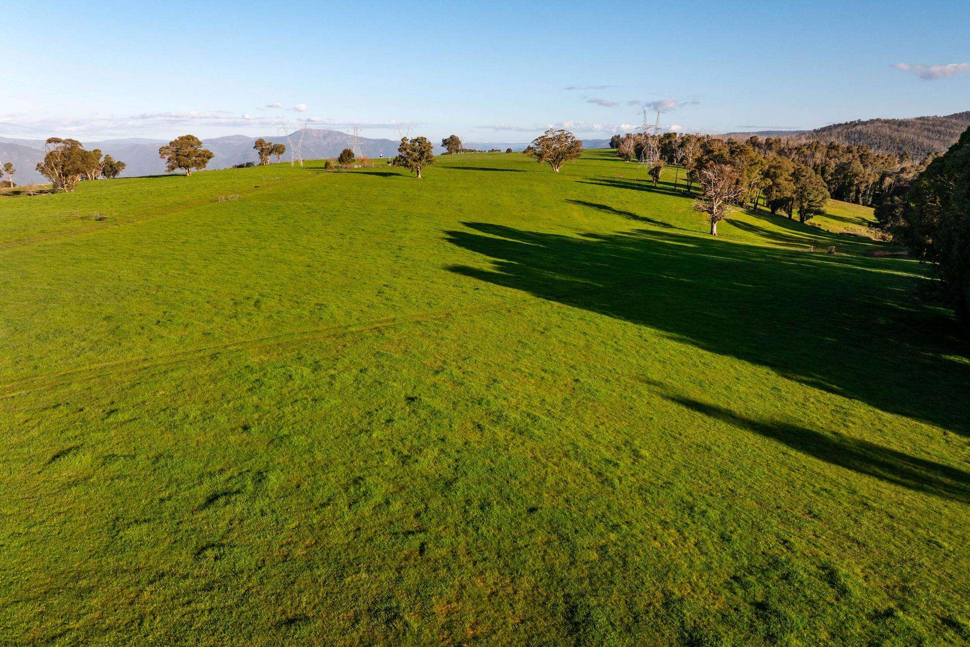 1433 East Gilmore Road, Tumut Auction by Farmbuy.com - image 6