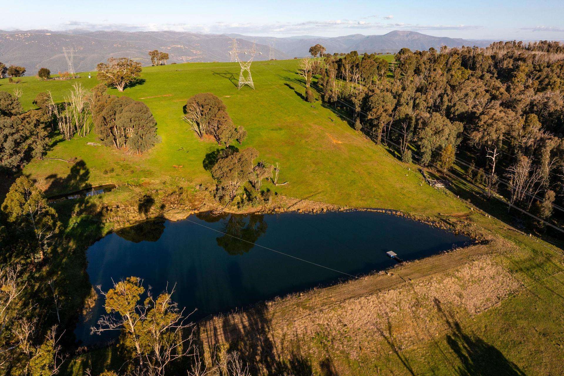 1433 East Gilmore Road, Tumut Auction by Farmbuy.com - image 7