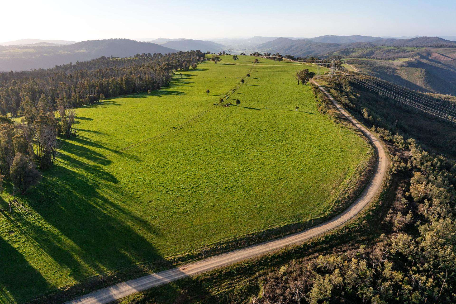 1433 East Gilmore Road, Tumut Auction by Farmbuy.com - image 4