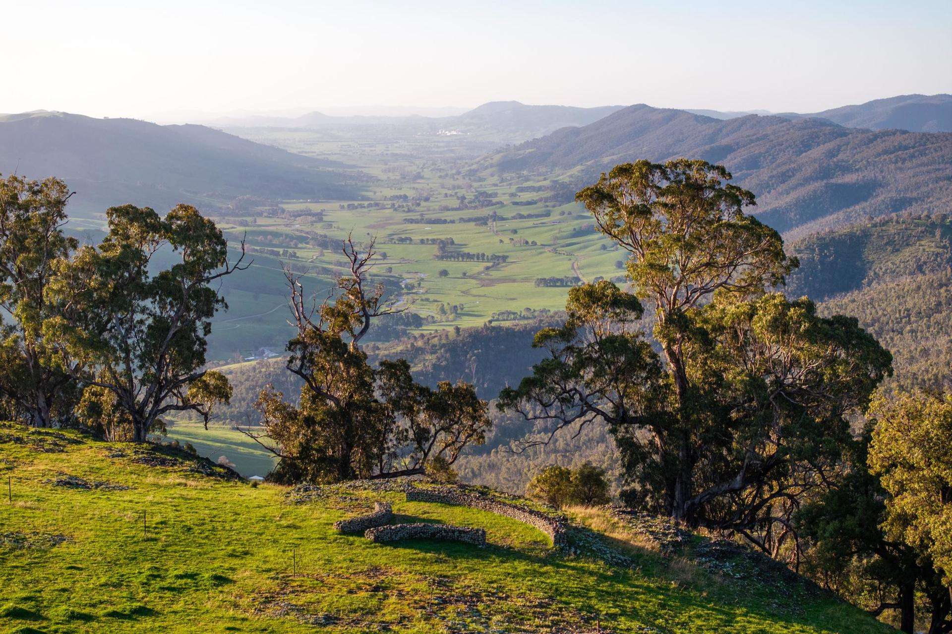 1433 East Gilmore Road, Tumut Auction by Farmbuy.com - image 2