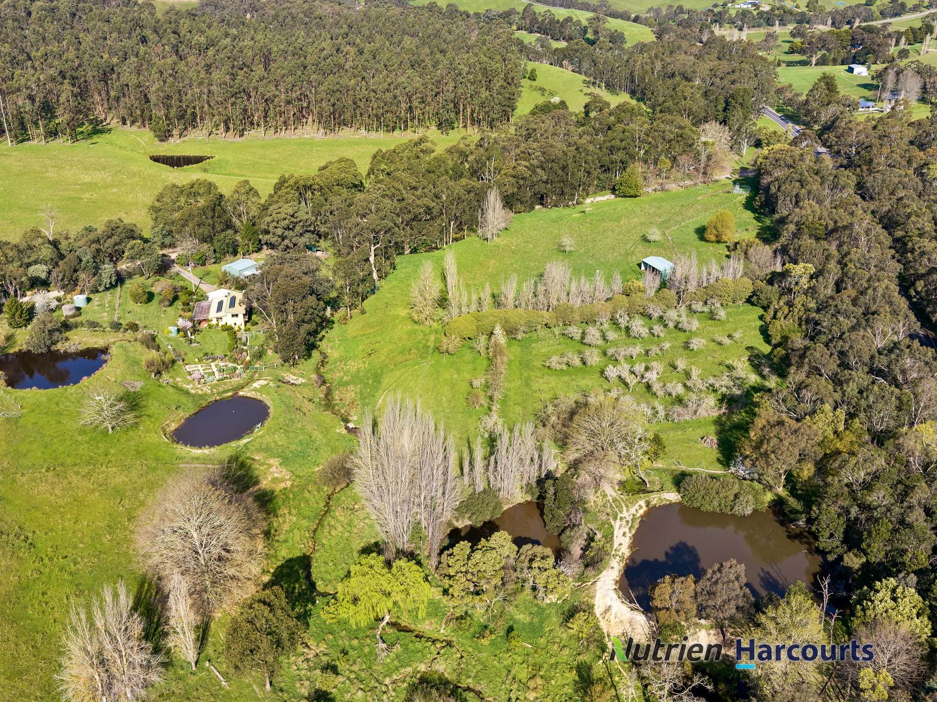 31 Spring Valley Road, Flowerdale For Sale by Farmbuy.com - image 2
