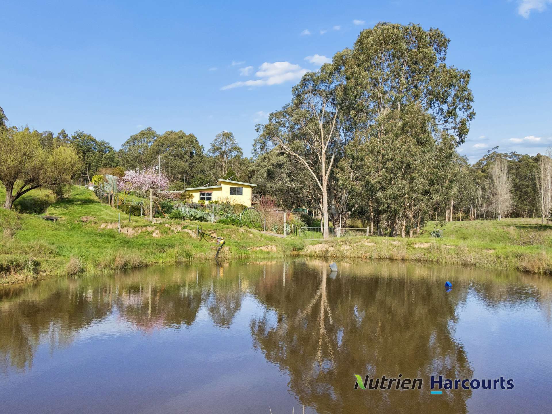 31 Spring Valley Road, Flowerdale For Sale by Farmbuy.com - image 21