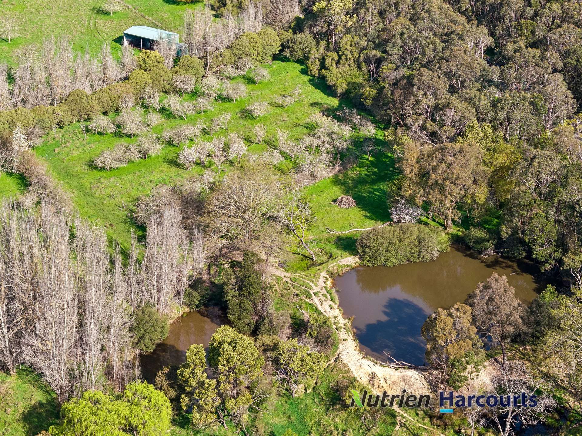 31 Spring Valley Road, Flowerdale For Sale by Farmbuy.com - image 27