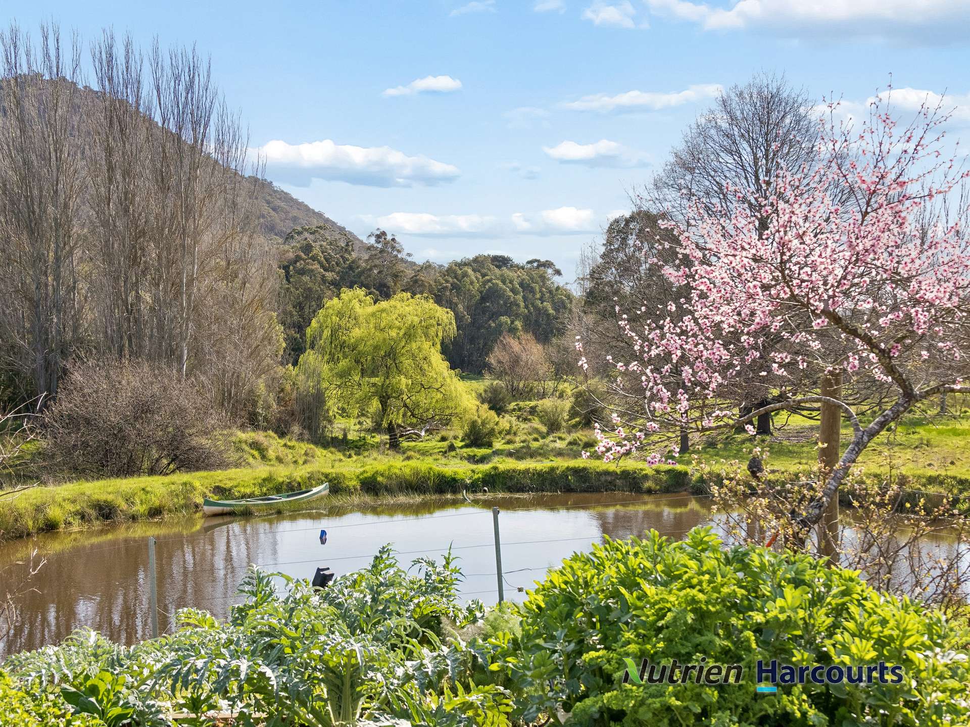 31 Spring Valley Road, Flowerdale For Sale by Farmbuy.com - image 20