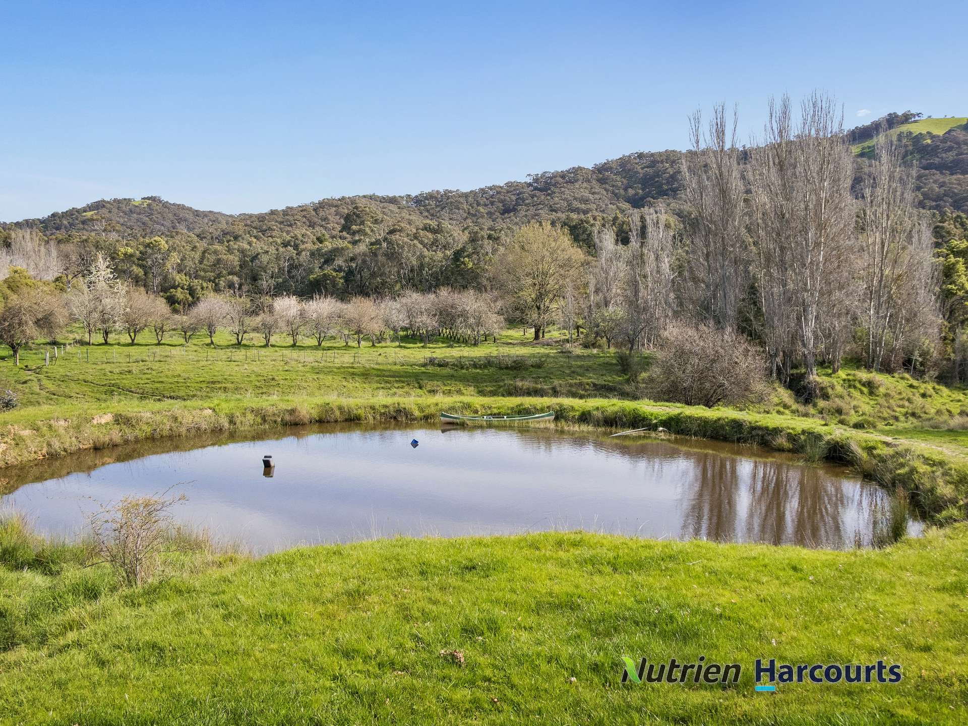 31 Spring Valley Road, Flowerdale For Sale by Farmbuy.com - image 22