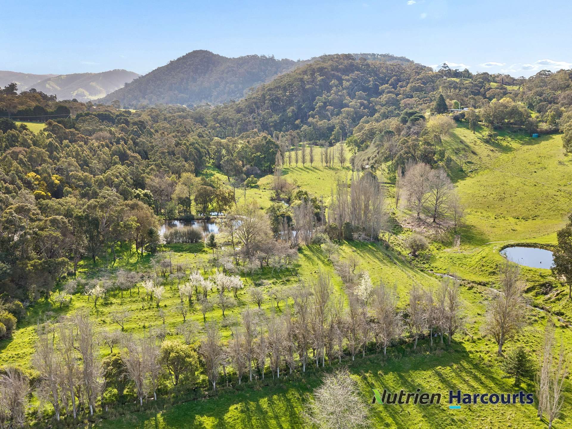 31 Spring Valley Road, Flowerdale For Sale by Farmbuy.com - image 26