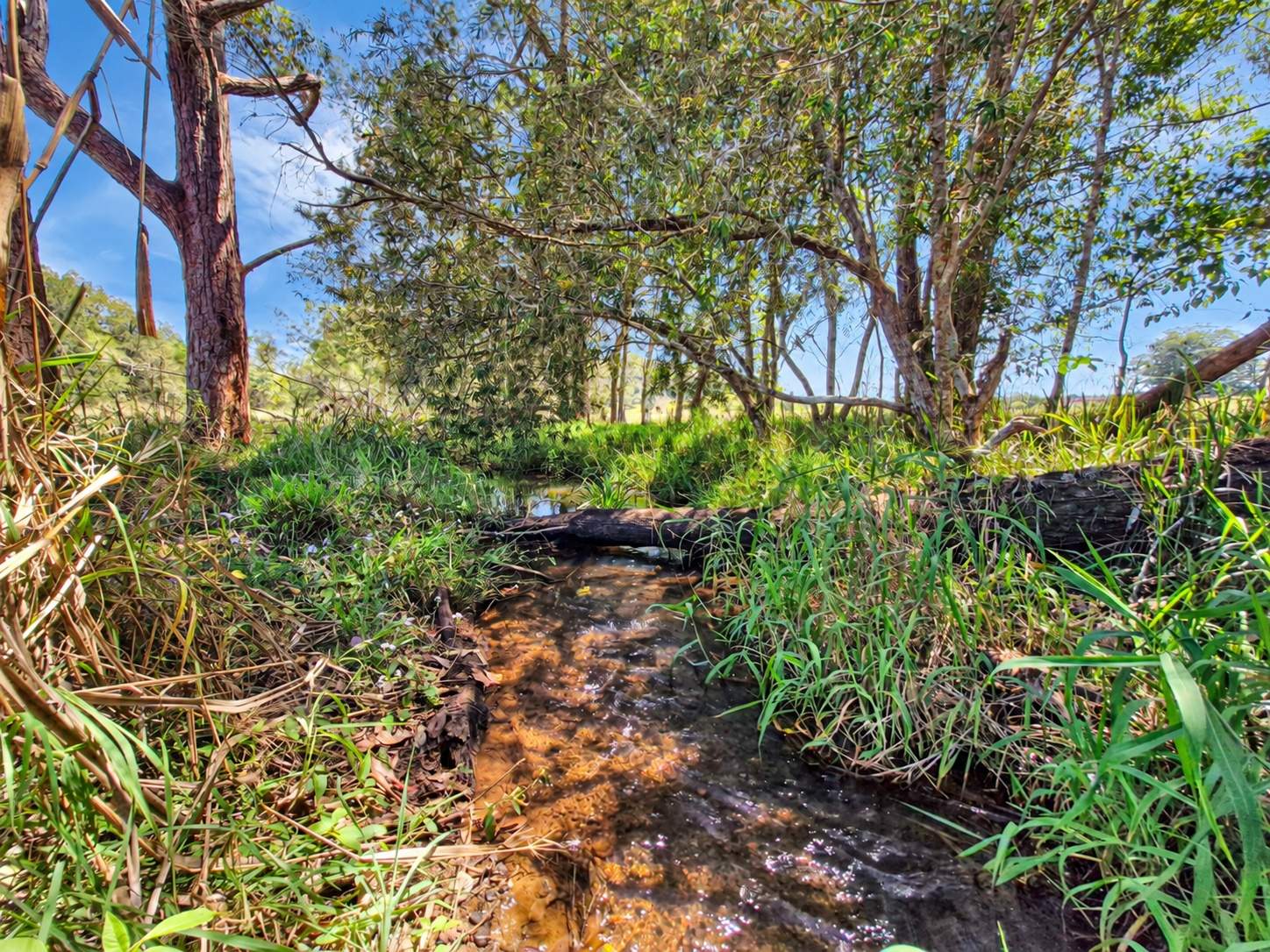 238 Ball Road, Peeramon For Sale by Farmbuy.com - image 2
