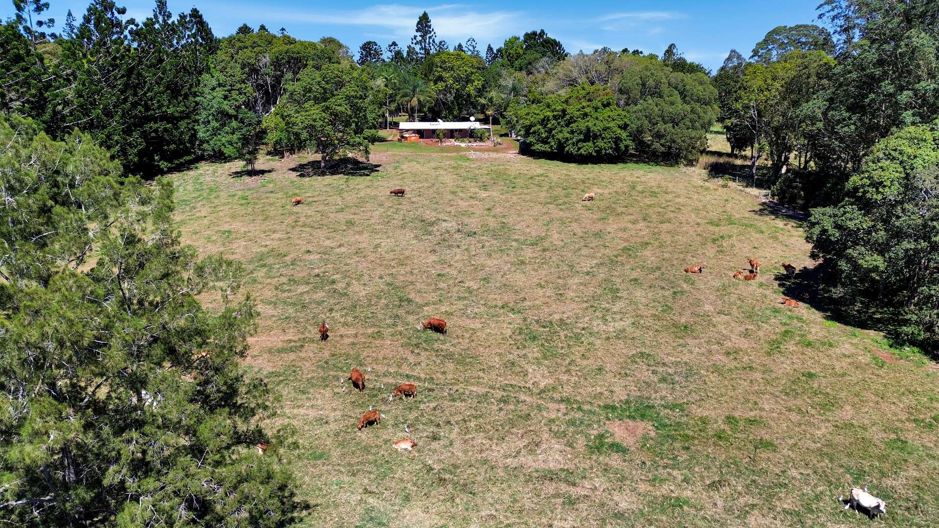 238 Ball Road, Peeramon For Sale by Farmbuy.com - image 35