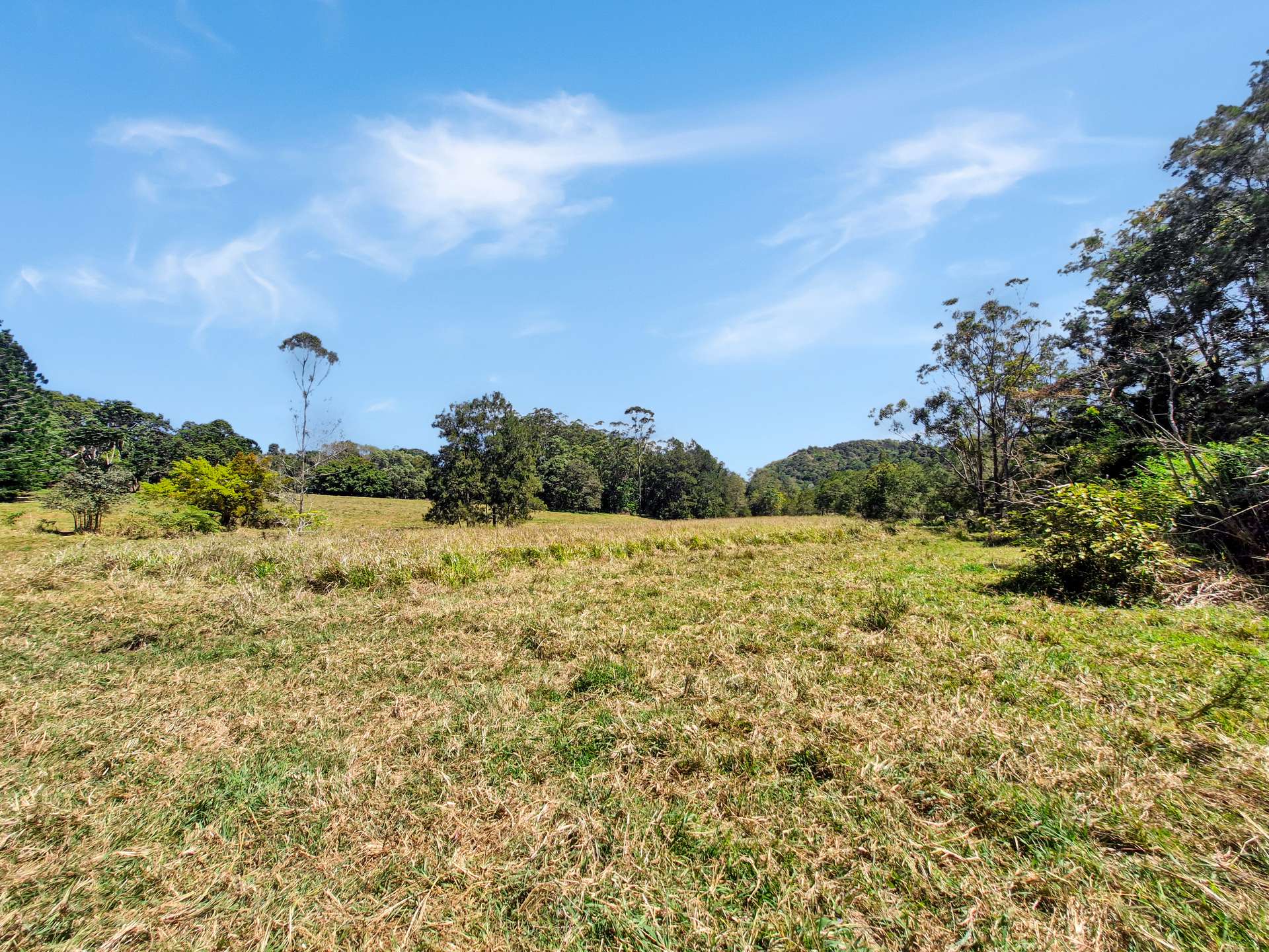 238 Ball Road, Peeramon For Sale by Farmbuy.com - image 29