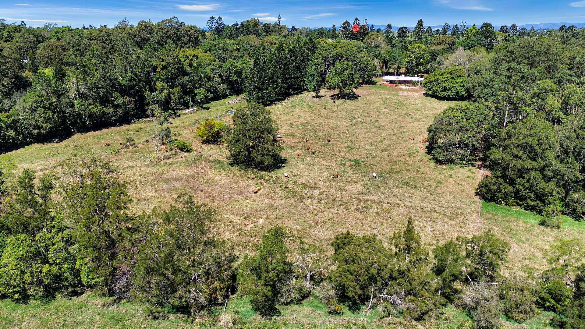 238 Ball Road, Peeramon For Sale by Farmbuy.com - image 1
