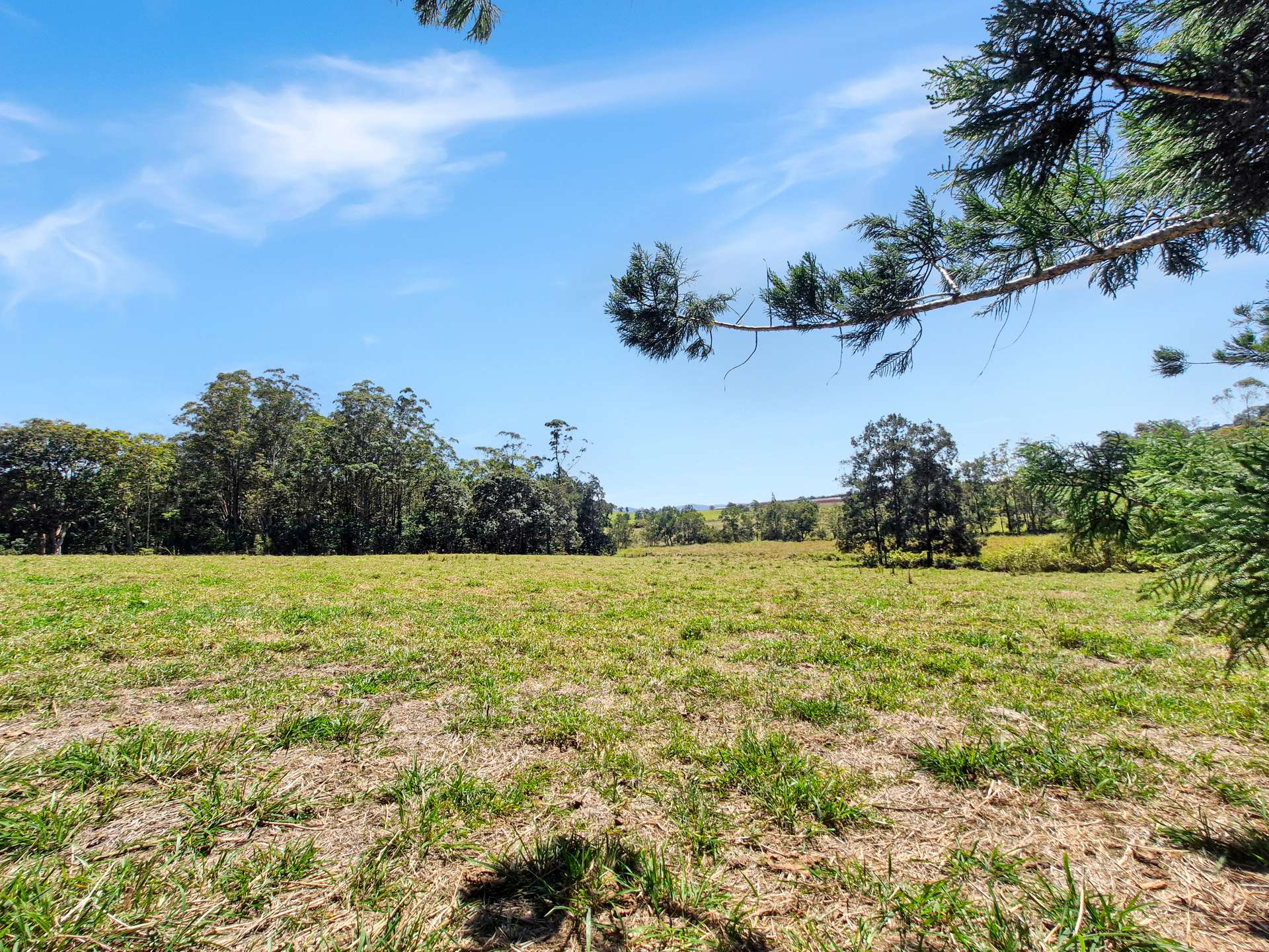 238 Ball Road, Peeramon For Sale by Farmbuy.com - image 31