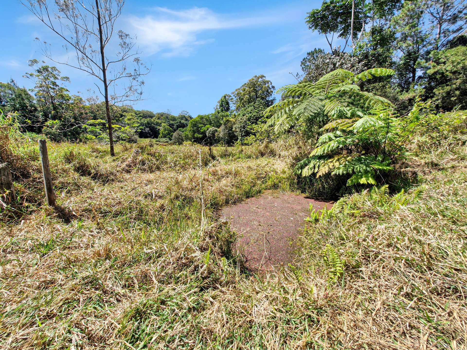 238 Ball Road, Peeramon For Sale by Farmbuy.com - image 32