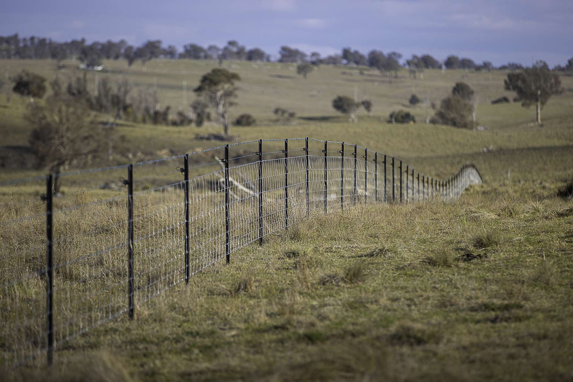 "Hillgrove Stn" 2459 Grafton Road, Armidale Auction by Farmbuy.com - image 25
