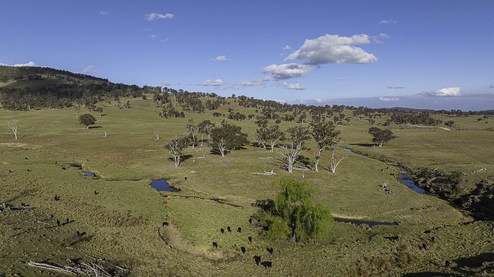 "Hillgrove Stn" 2459 Grafton Road, Armidale Auction by Farmbuy.com - image 29