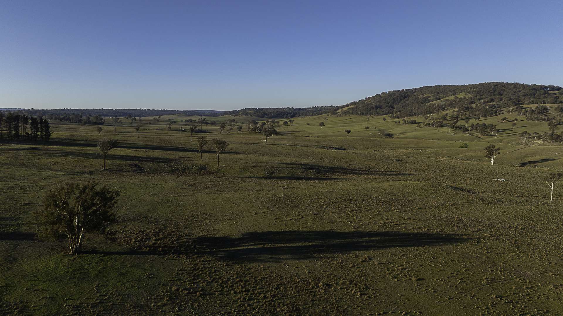"Hillgrove Stn" 2459 Grafton Road, Armidale Auction by Farmbuy.com - image 14
