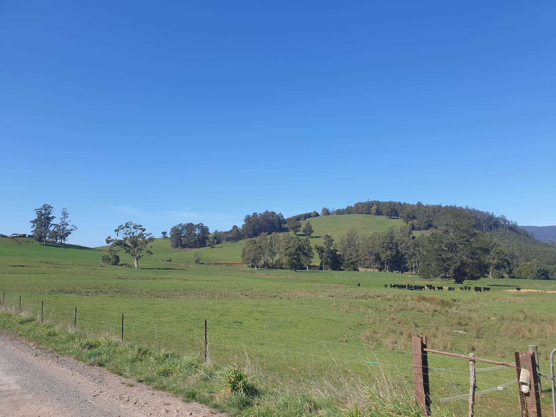 855 Beulah Road, Beulah For Sale by Farmbuy.com - image 10