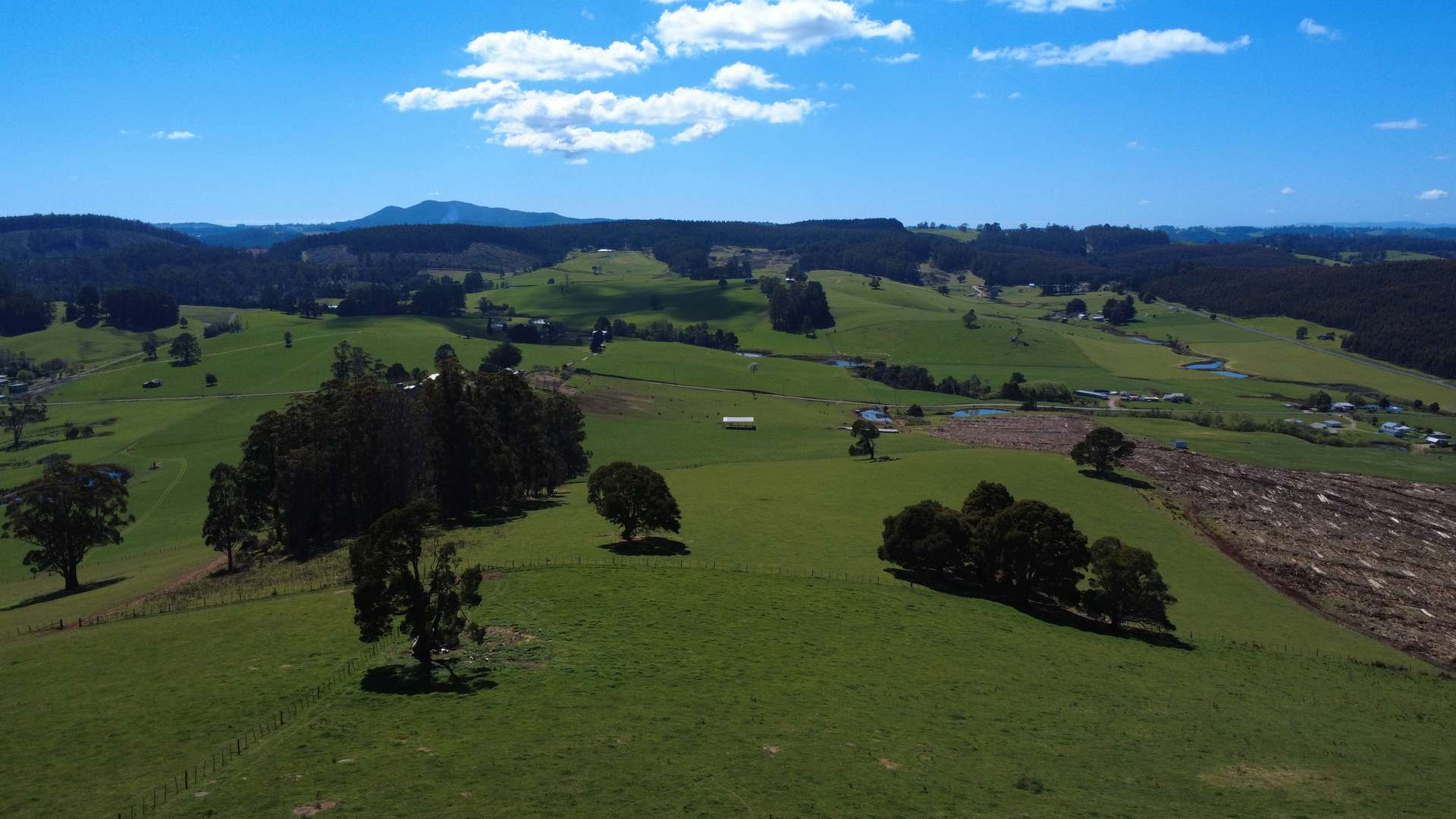 855 Beulah Road, Beulah For Sale by Farmbuy.com - image 2