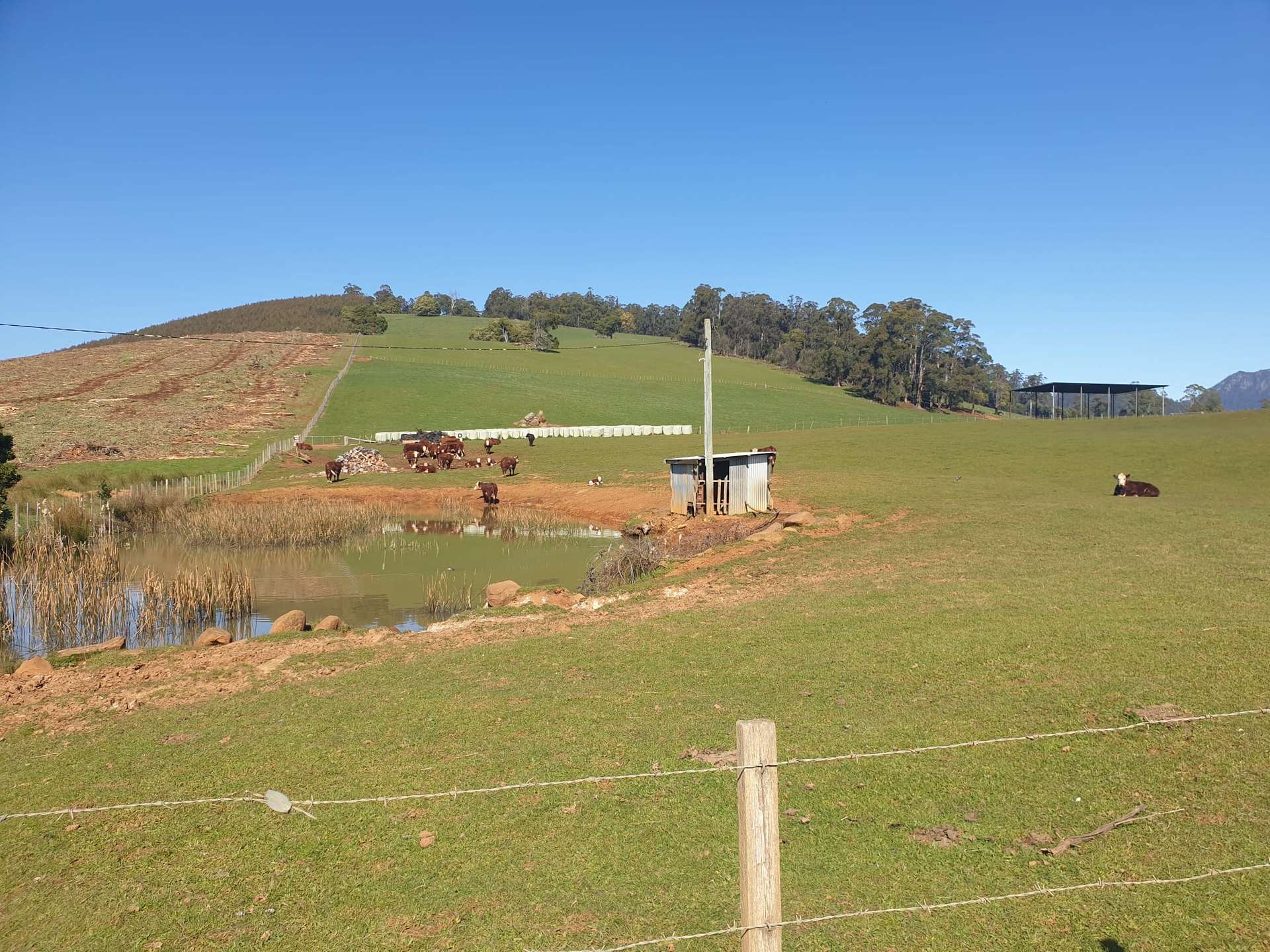 855 Beulah Road, Beulah For Sale by Farmbuy.com - image 7